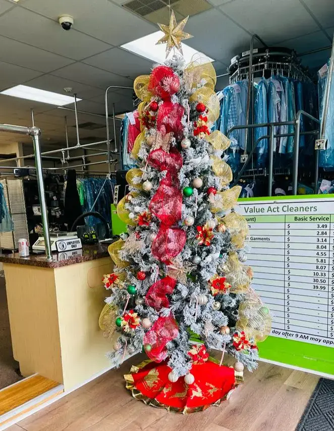 Value Act Cleaners - Image 8