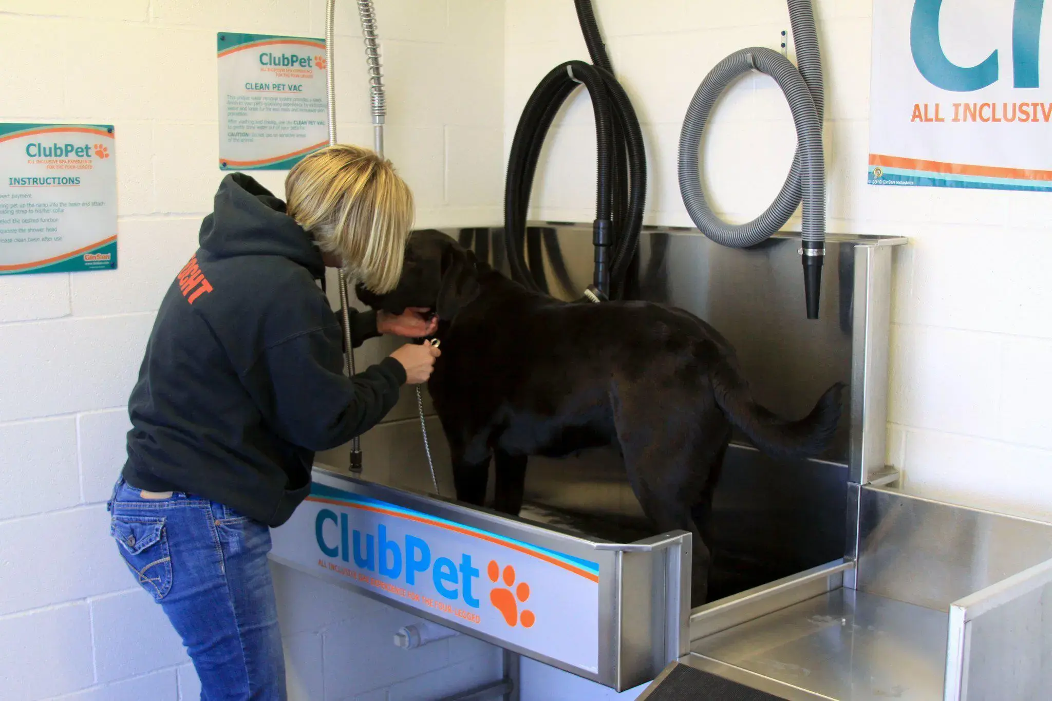 Vandal Wash - Image 10