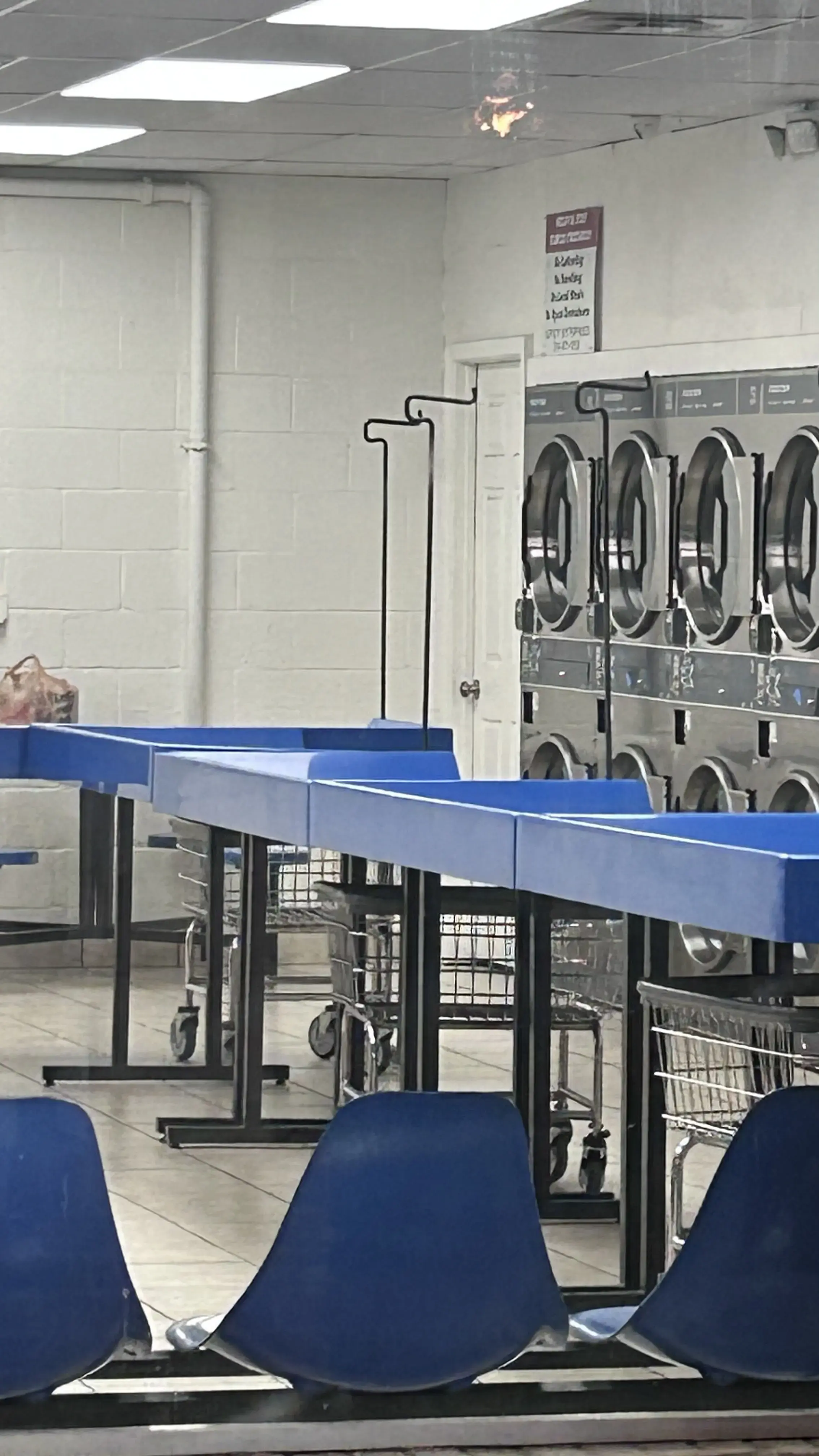 Varsity Enterprises Laundry - Image 7
