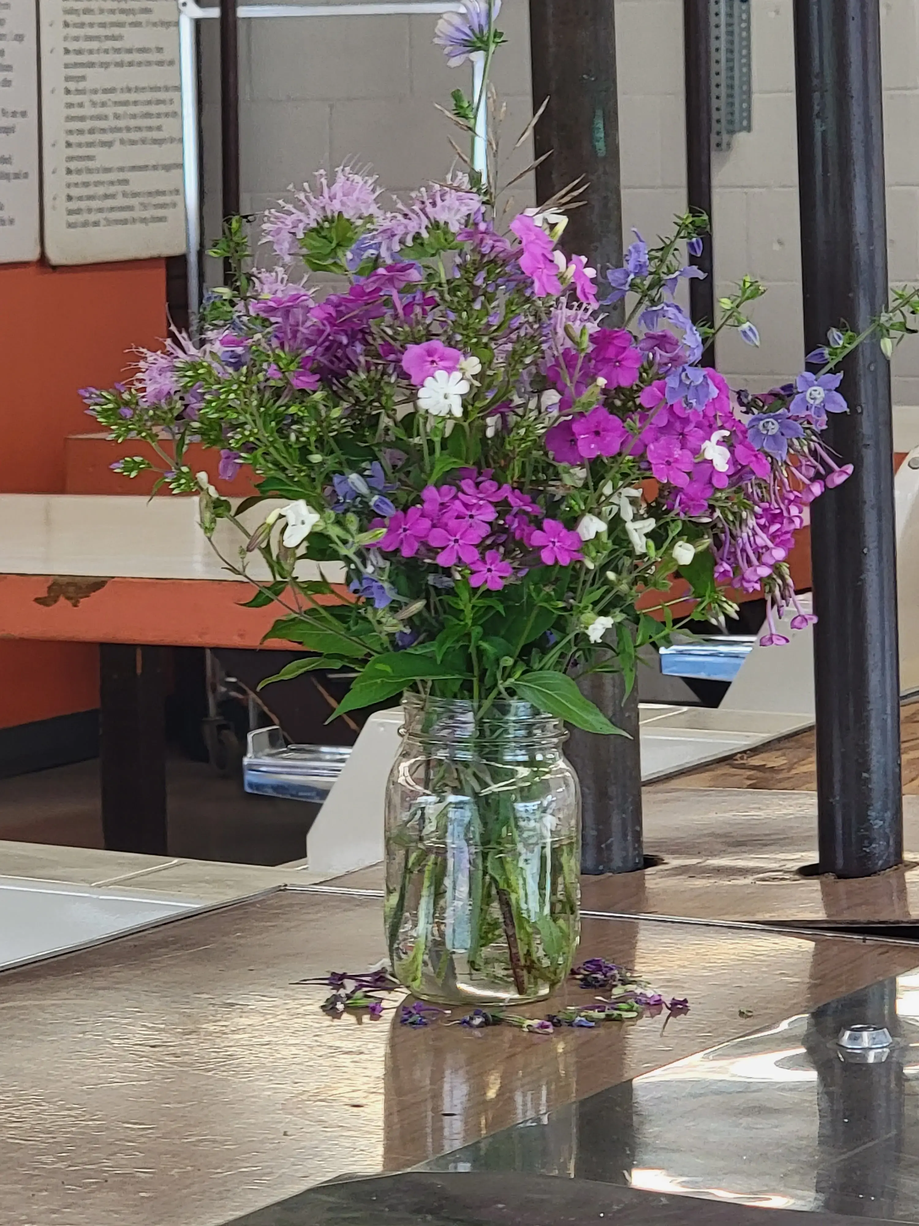 Vevay Coin Laundry thumbnail 11