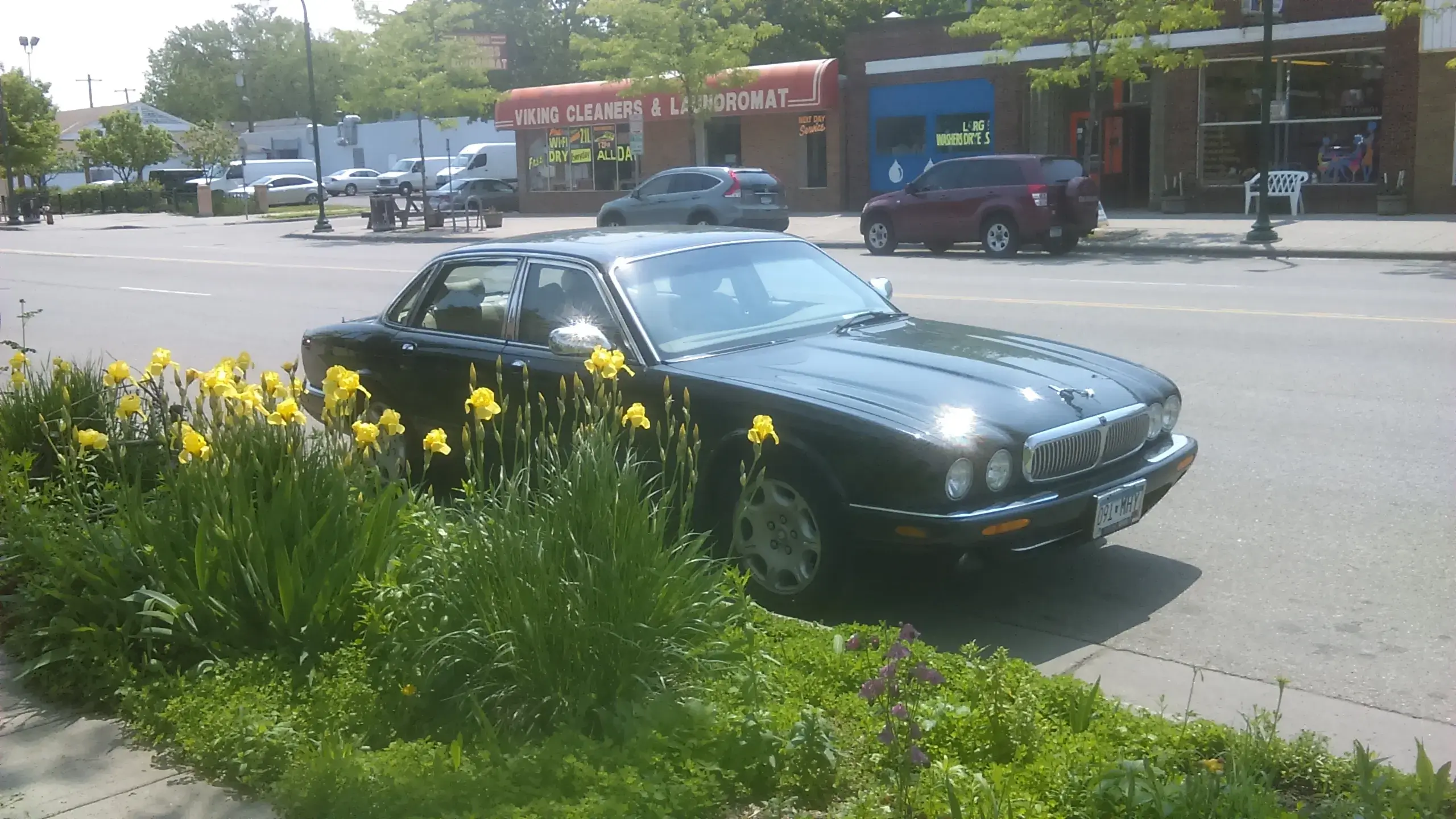 Viking Cleaners - Image 17