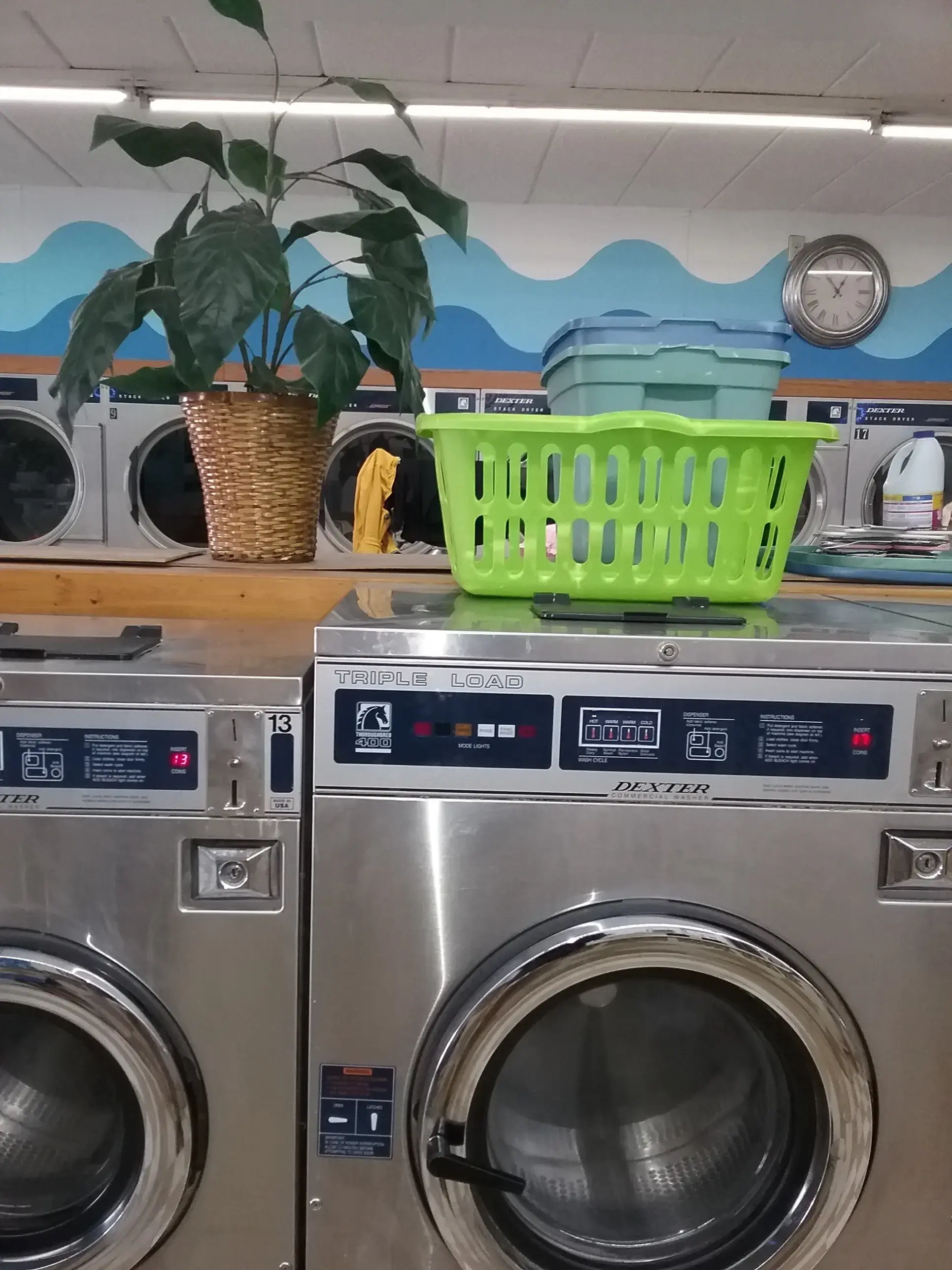 Viking Cleaners - Image 10
