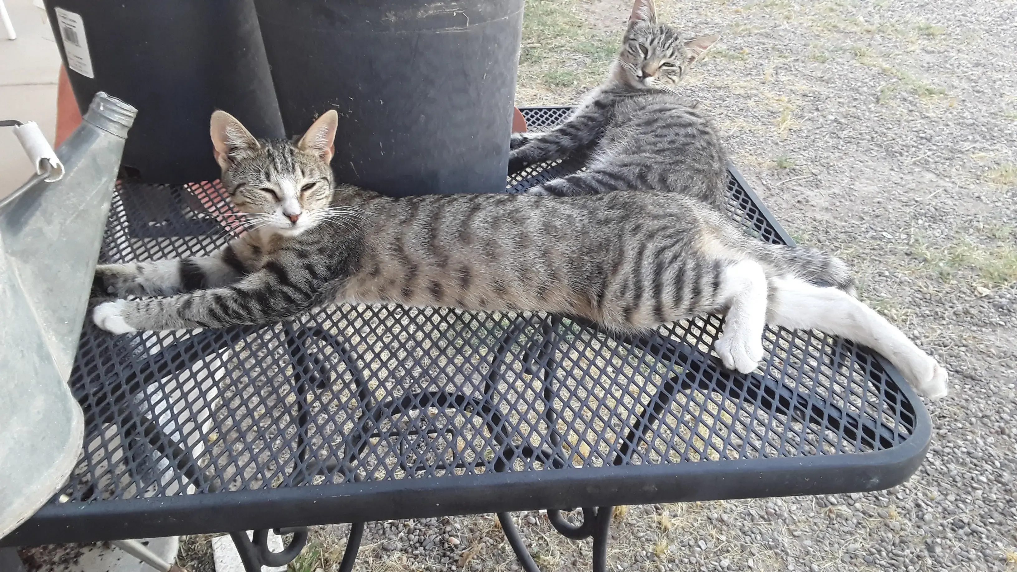 Vinton Laundromat - Image 3