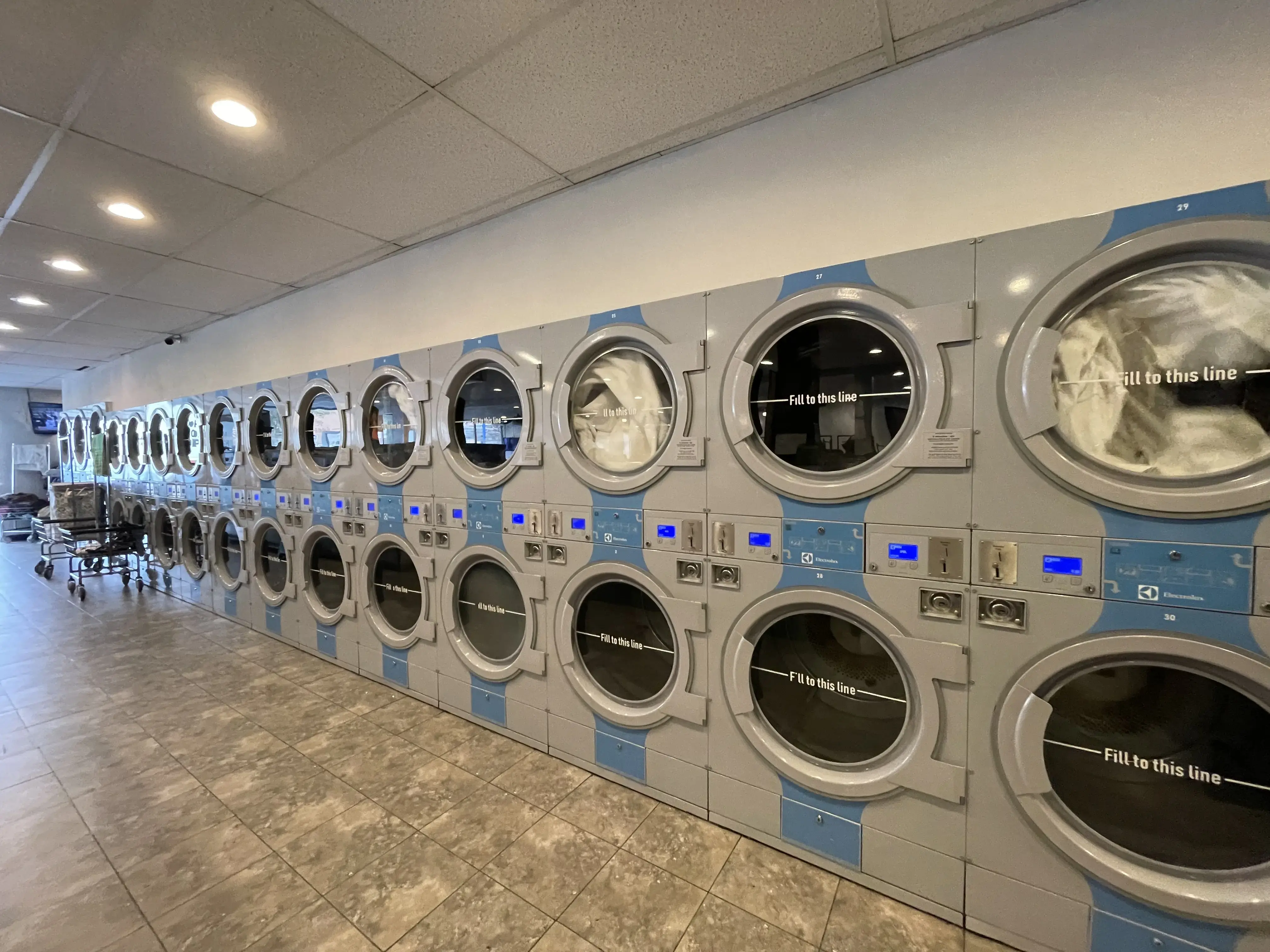 Vivi's Laundry - Image 5