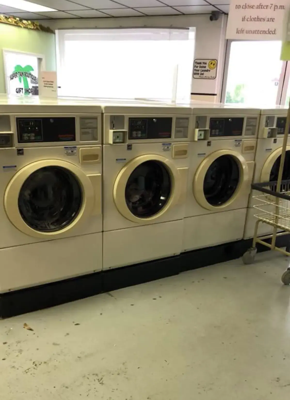 Warner Super Clean Laundry thumbnail 10