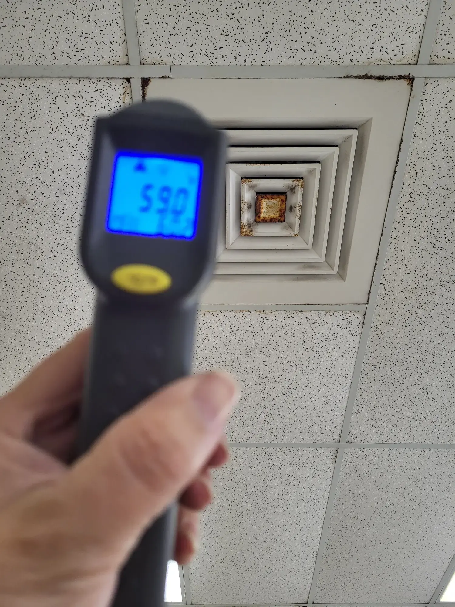 Wasco Clean Coin Laundry thumbnail 5