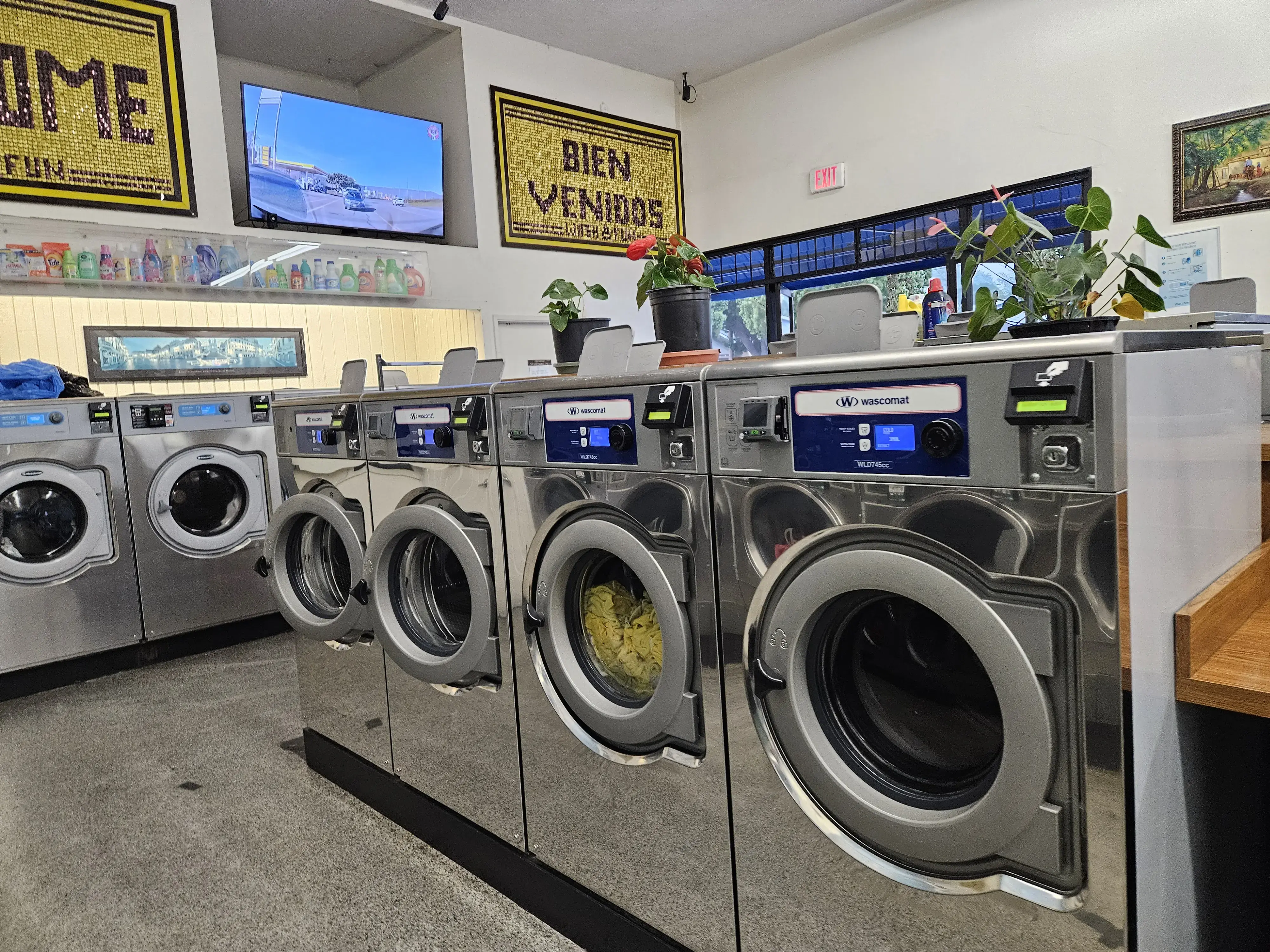 Wash and Fun - Image 2
