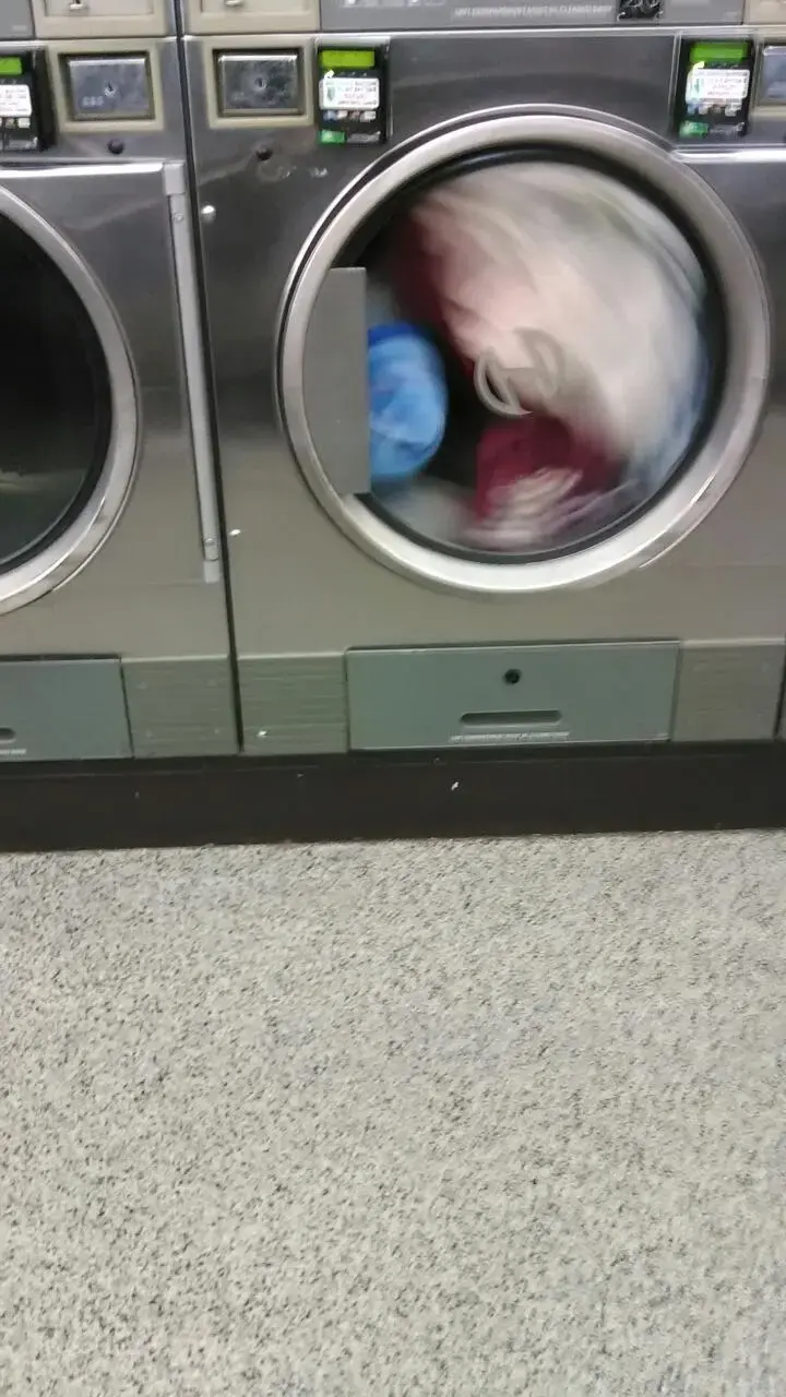 Wash and Fun - Image 8