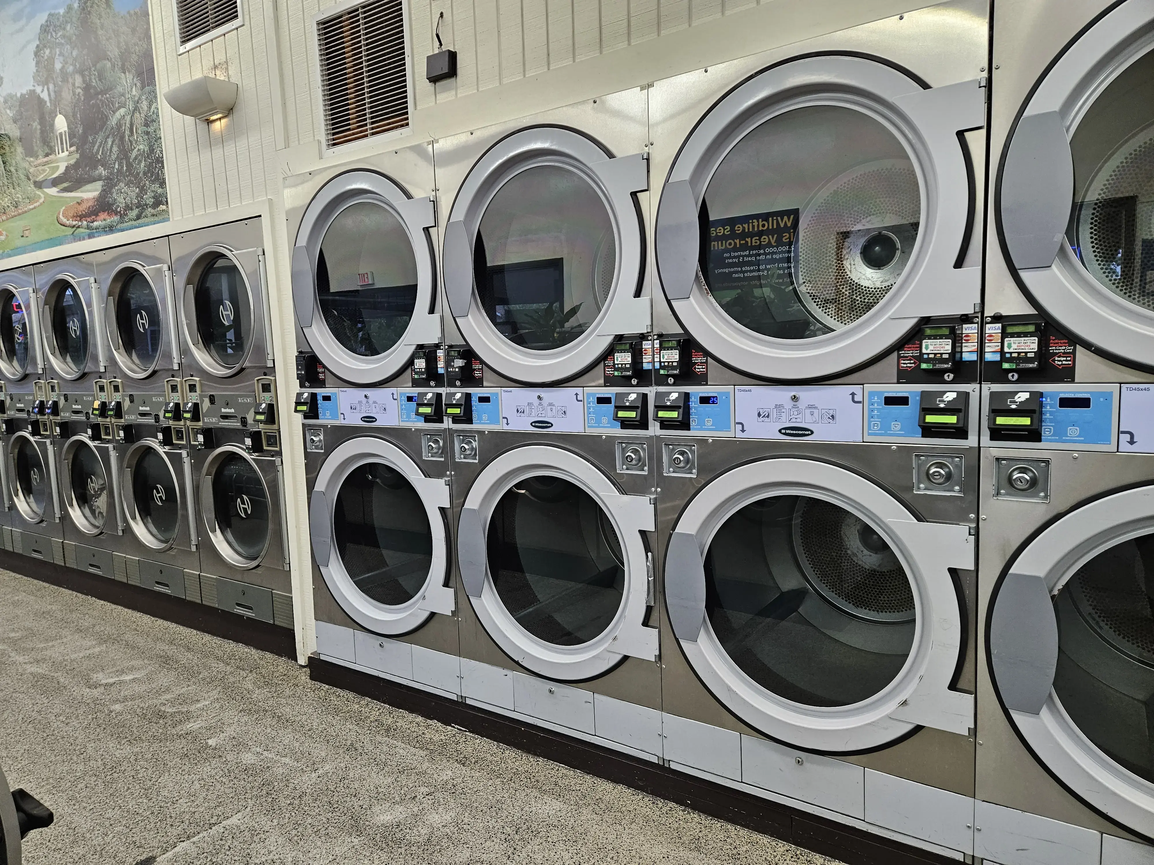 Wash and Fun - Image 12