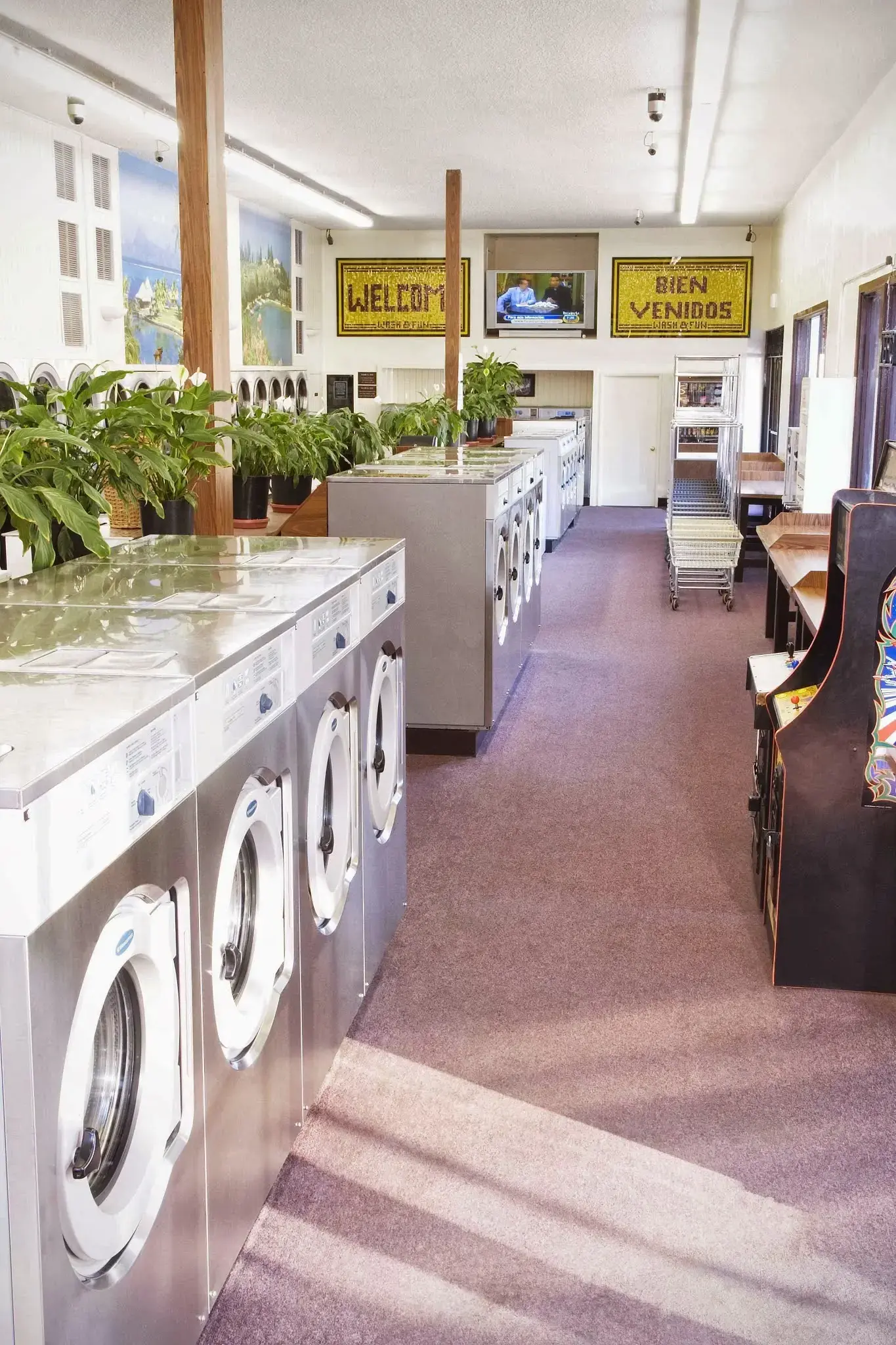 Wash and Fun - Image 11