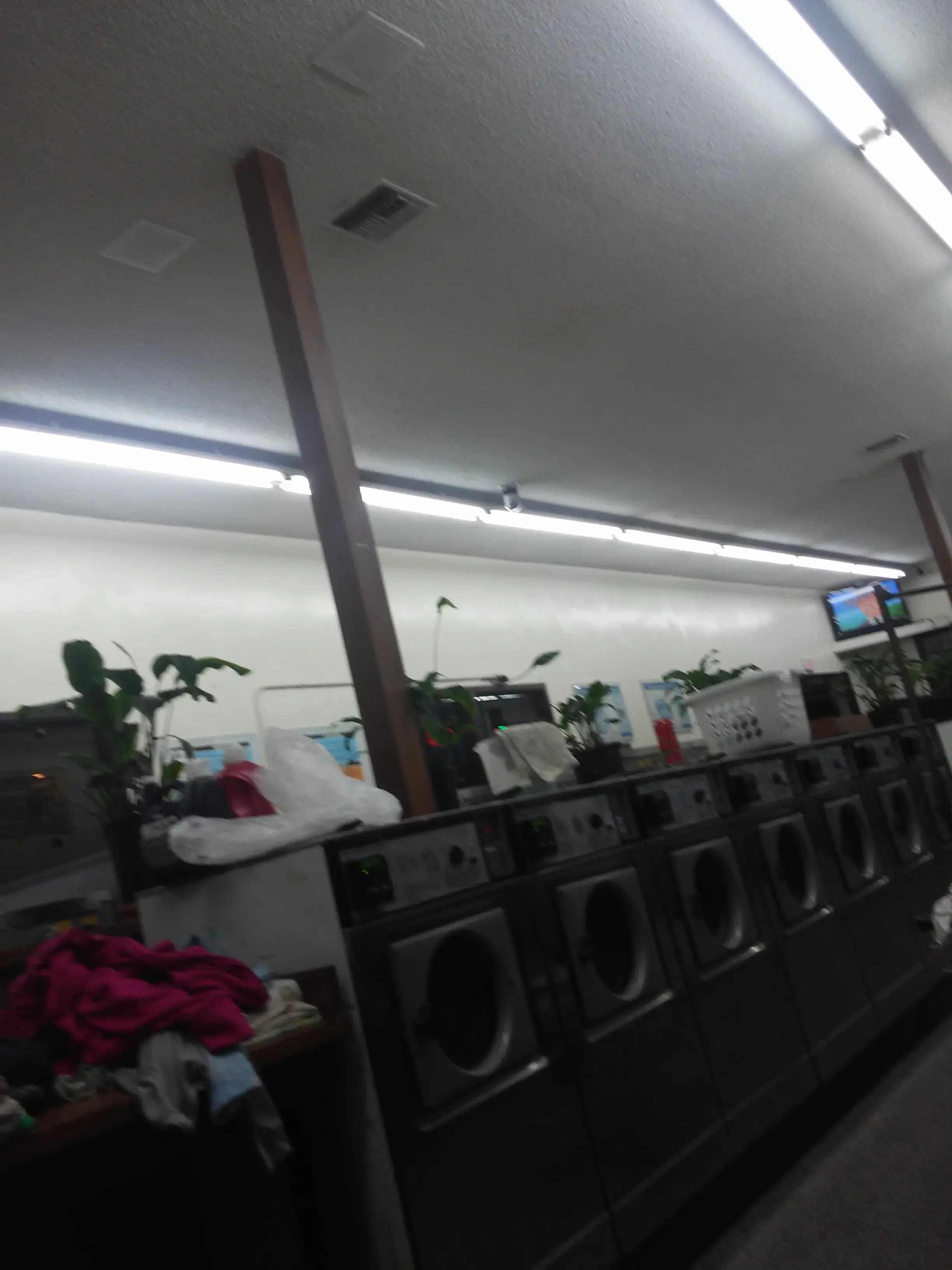 Wash and Fun thumbnail 6