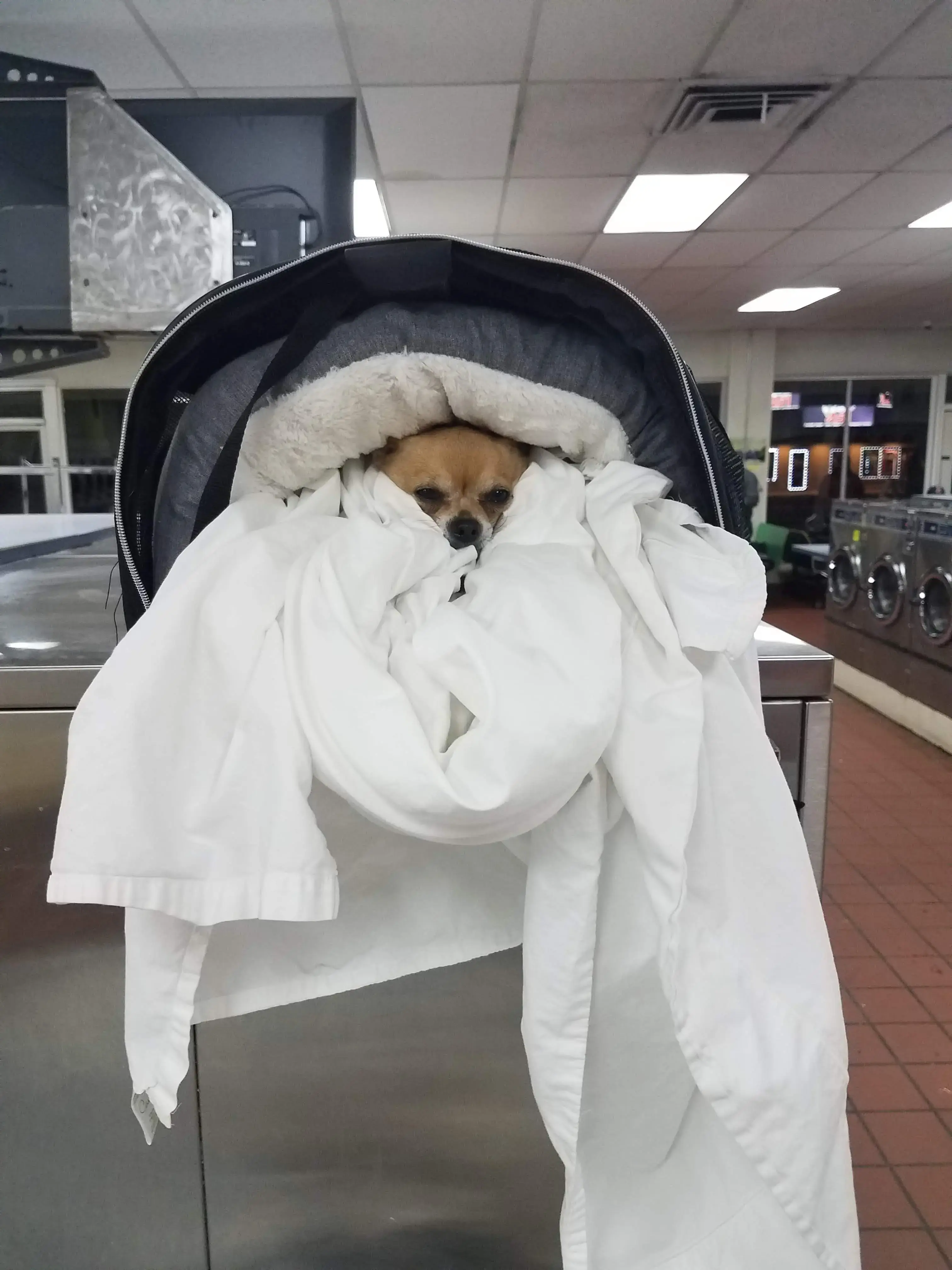 Wash Around the Clock thumbnail 19
