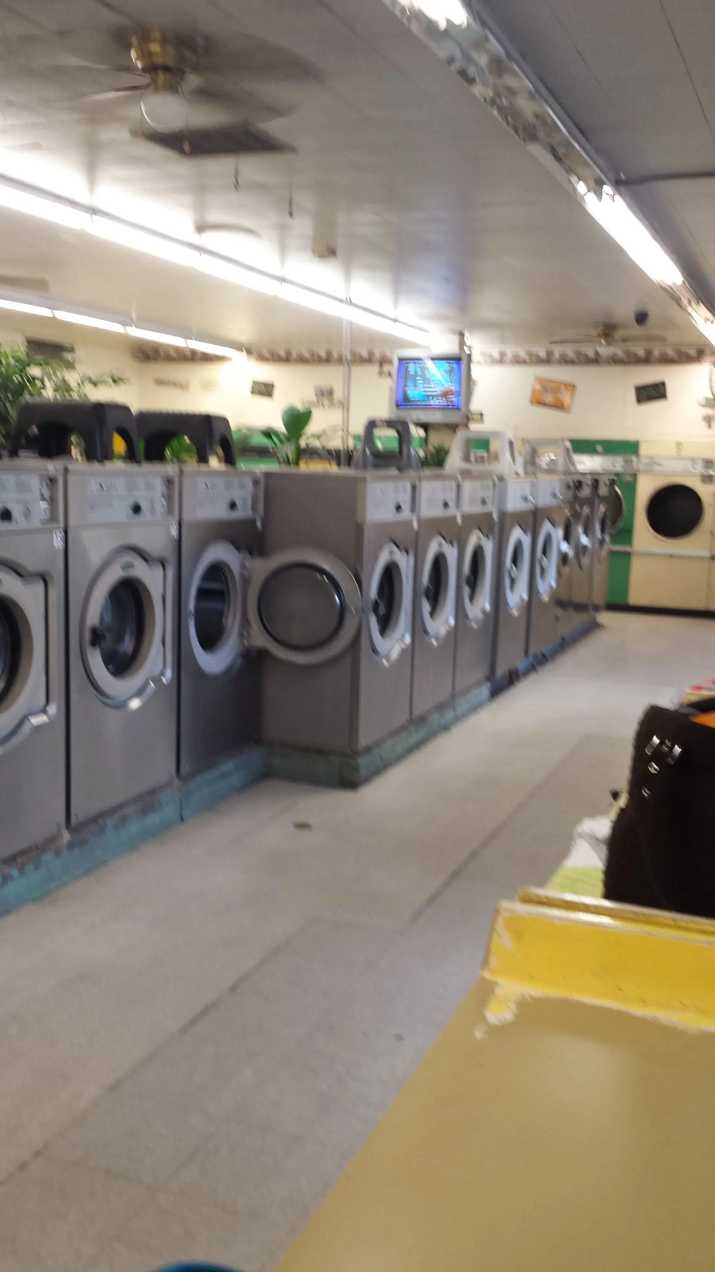 Wash City - Image 12