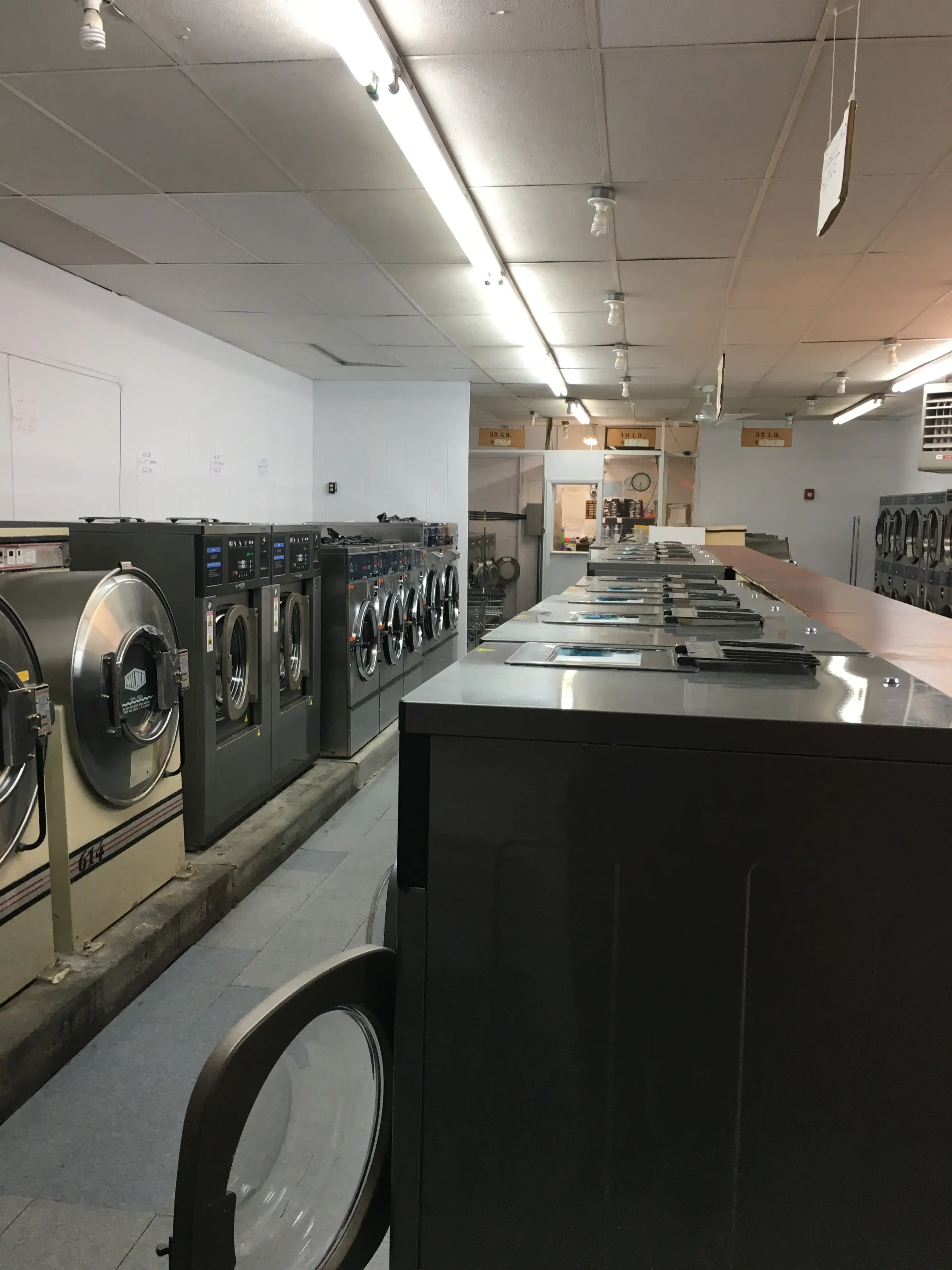 Wash Clean - Image 7