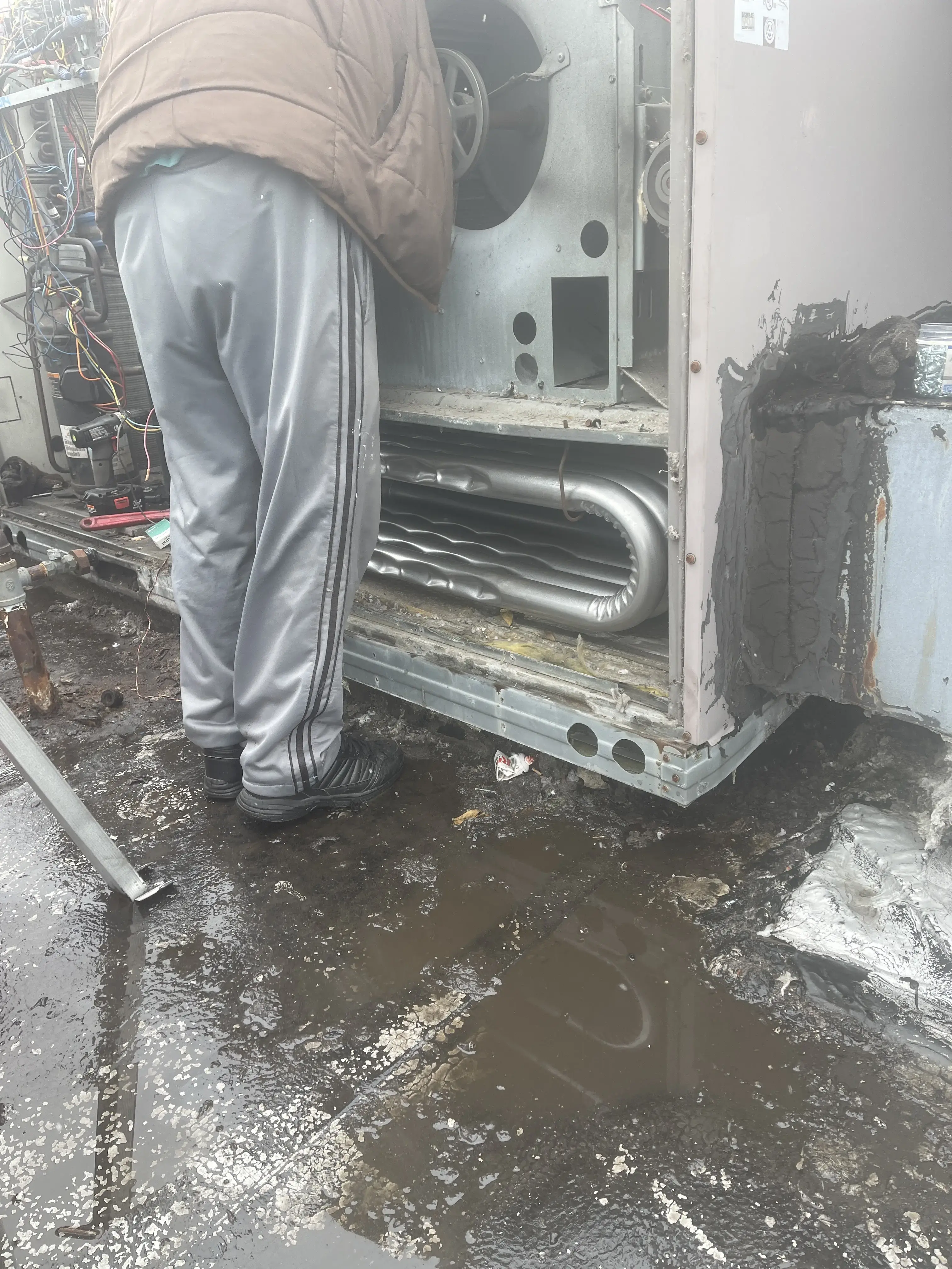 Wash Club - Image 13