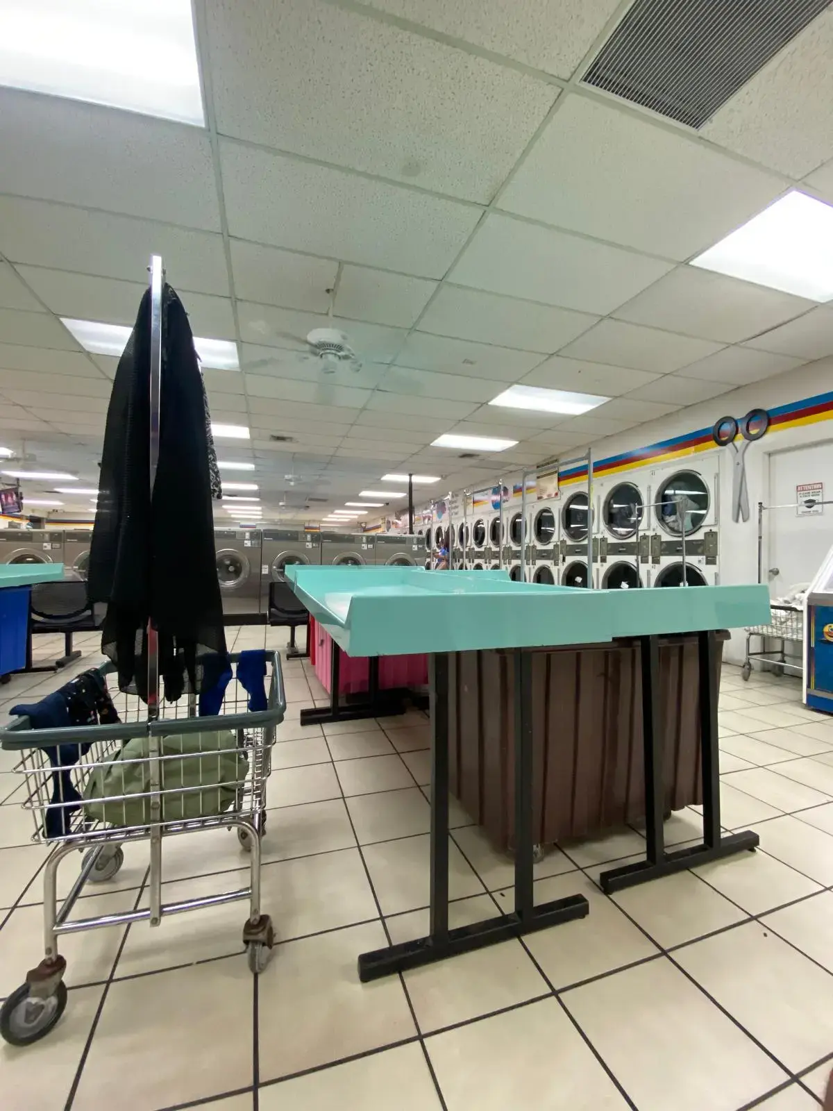 Wash Cycle - Image 12