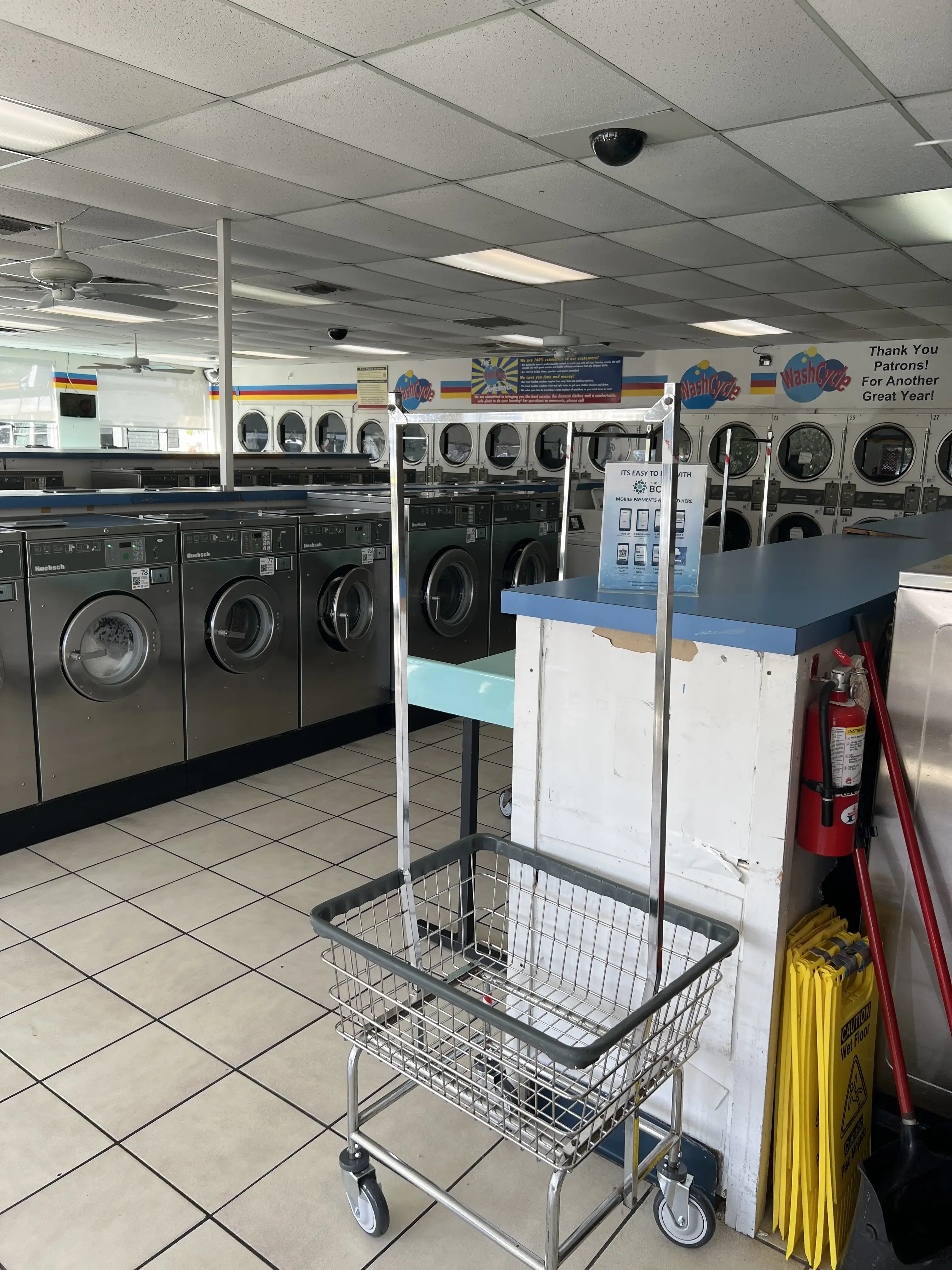 Wash Cycle - Image 2