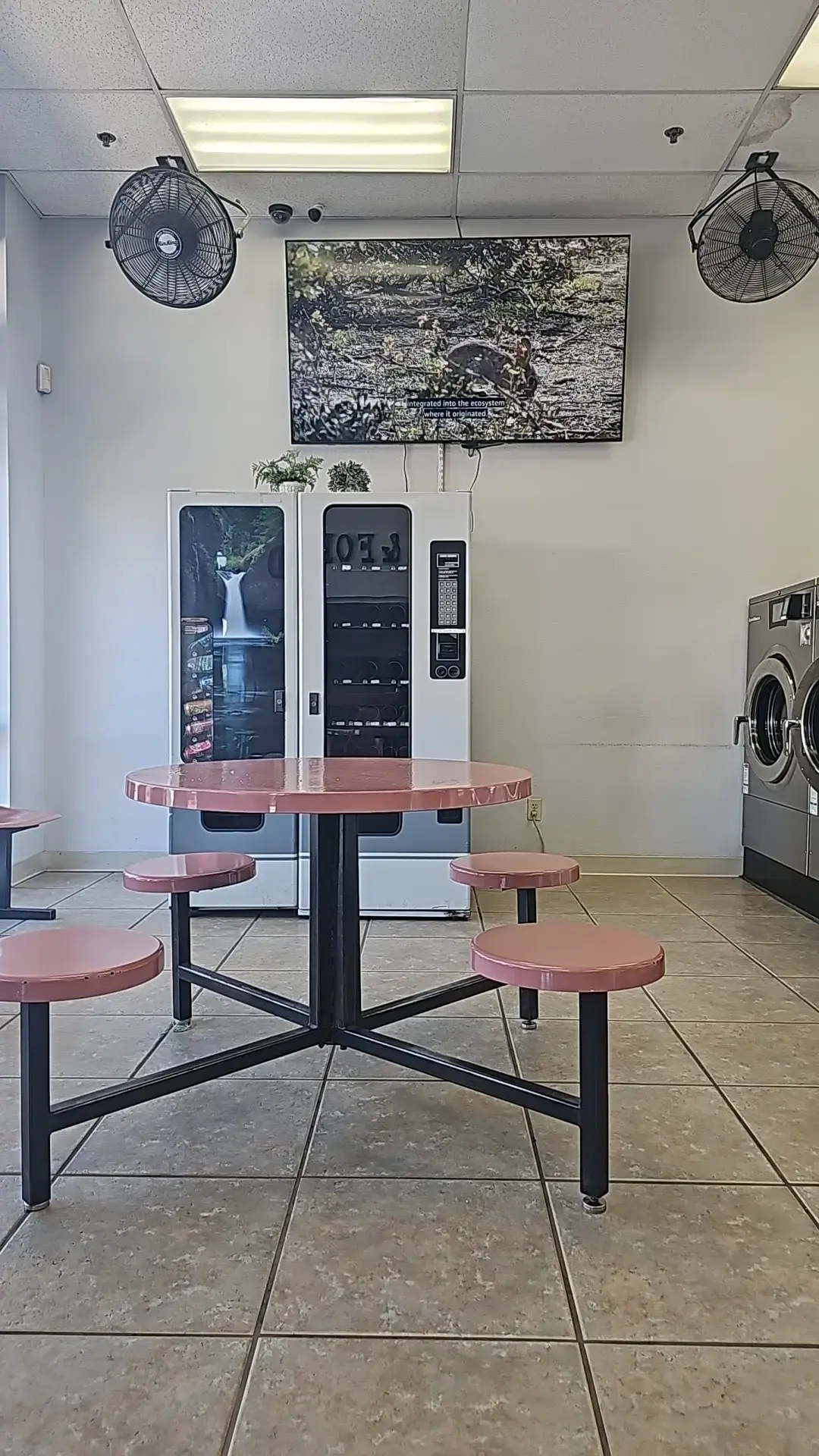 Wash & Dry Laundromat thumbnail 12