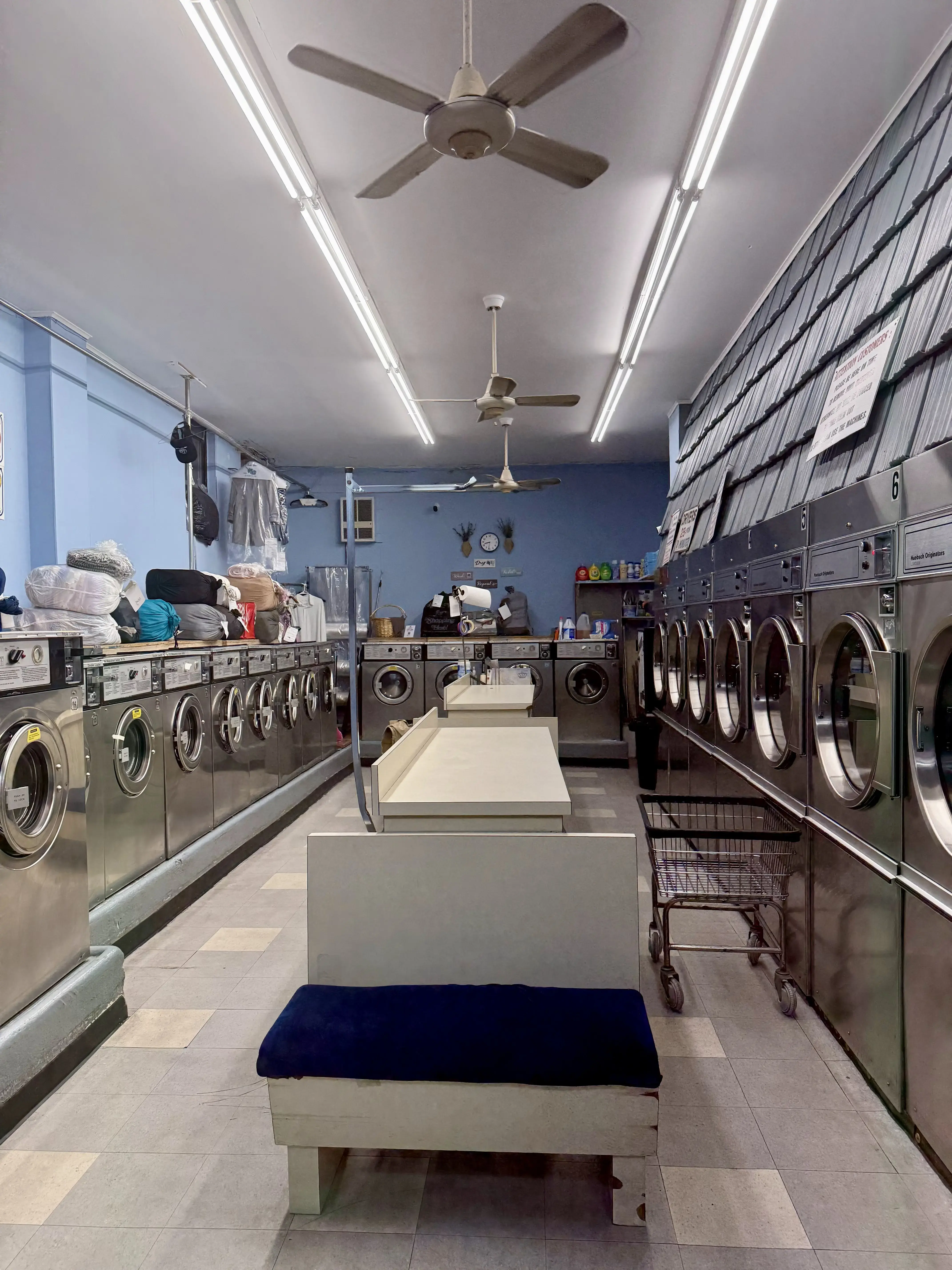 Wash & Dry Laundry Care thumbnail 19
