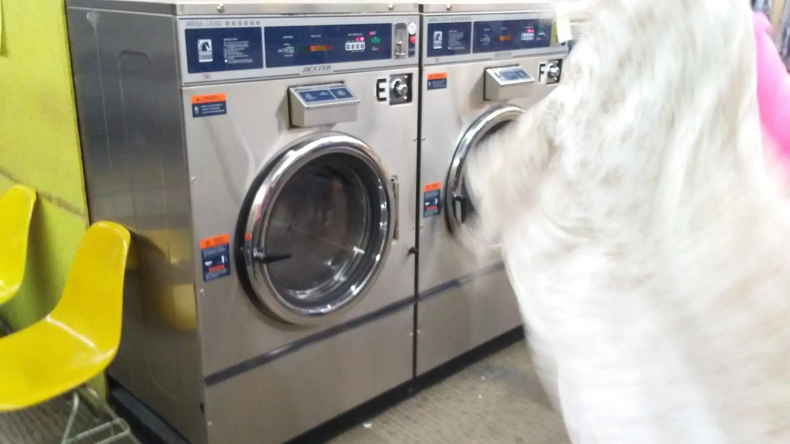 Wash Em Up 2 - Image 13