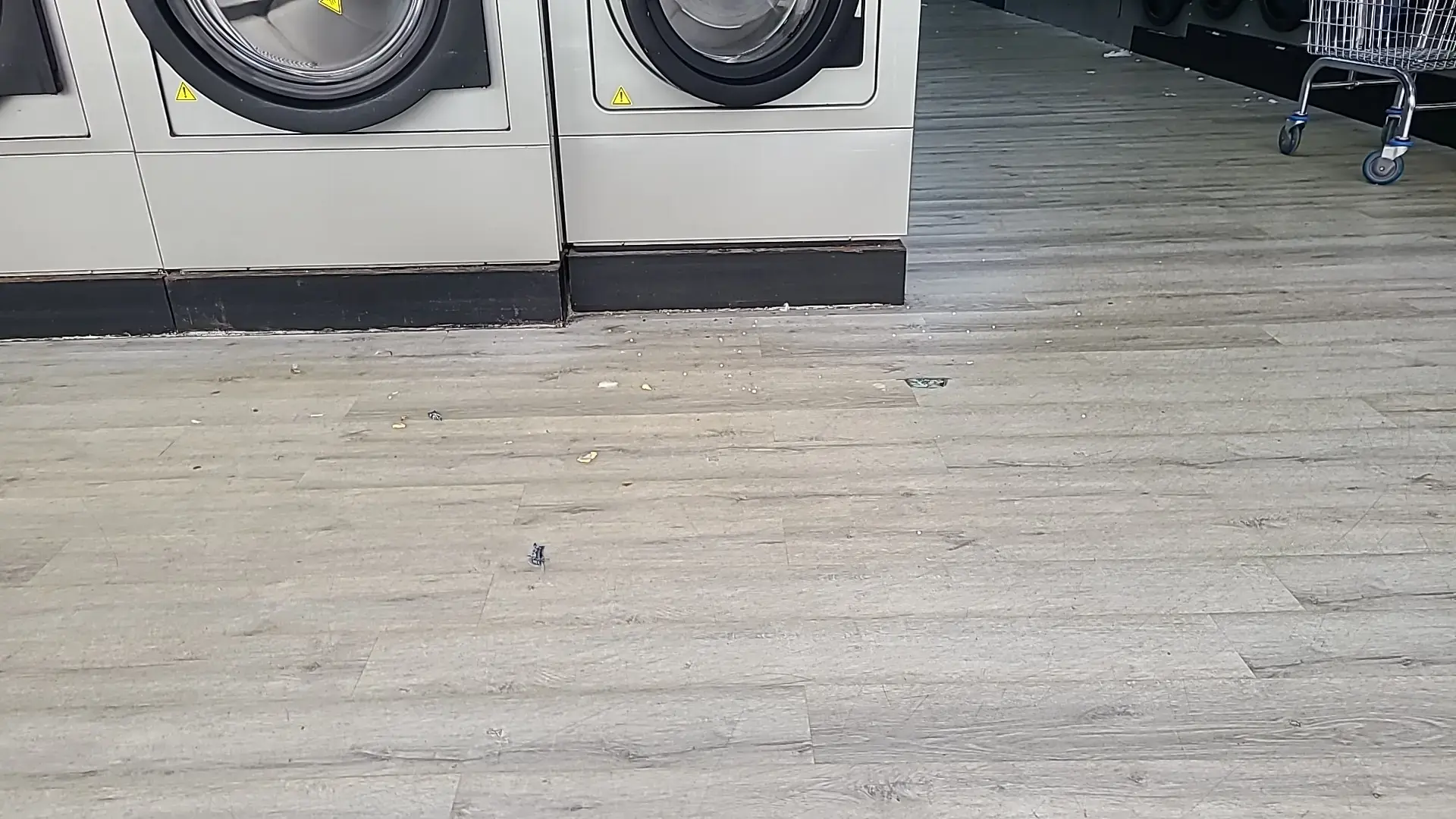 Wash & Go Coin Laundry Clanton thumbnail 5