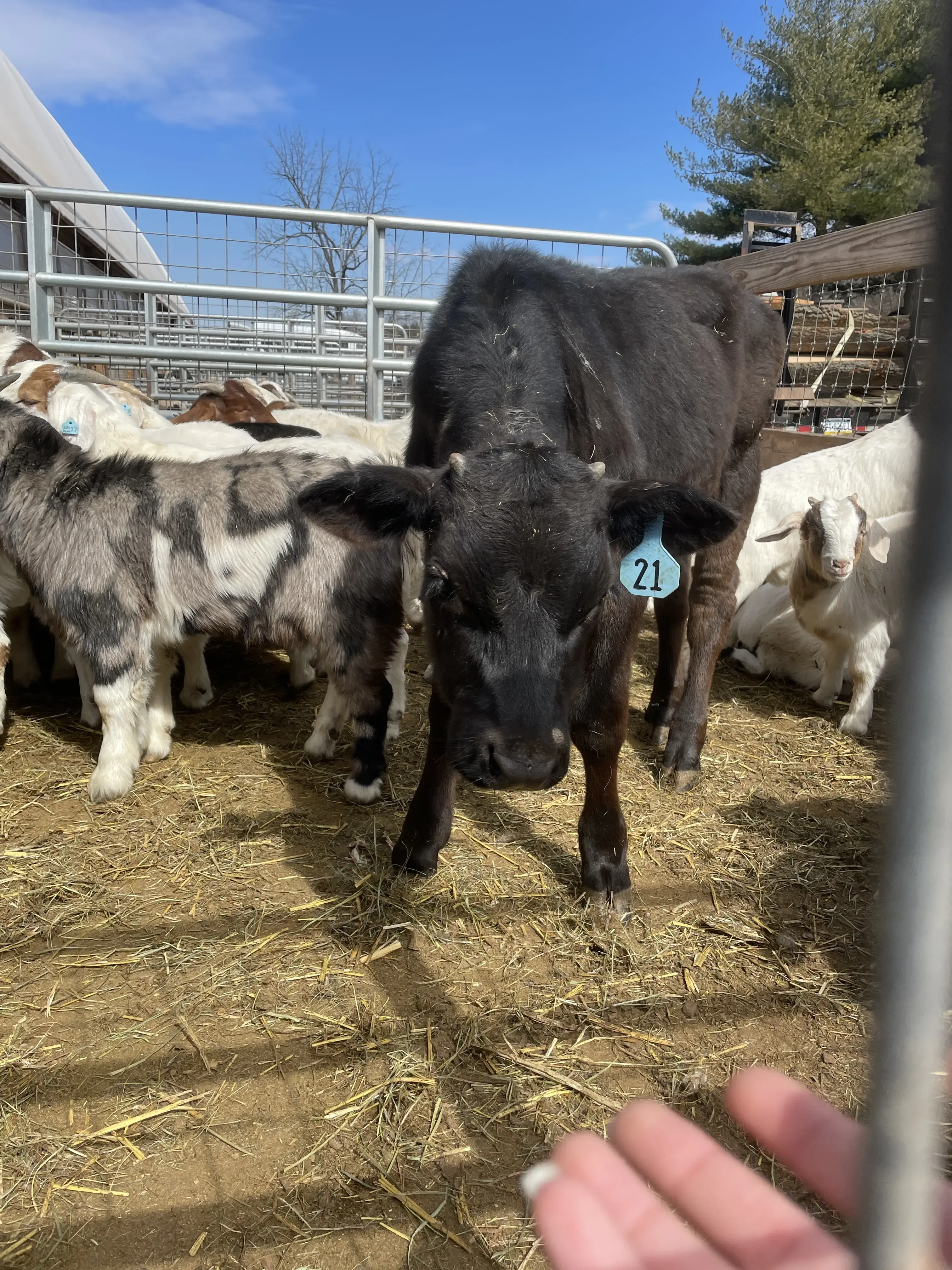 Wash & Go Laundry Zone - Image 17