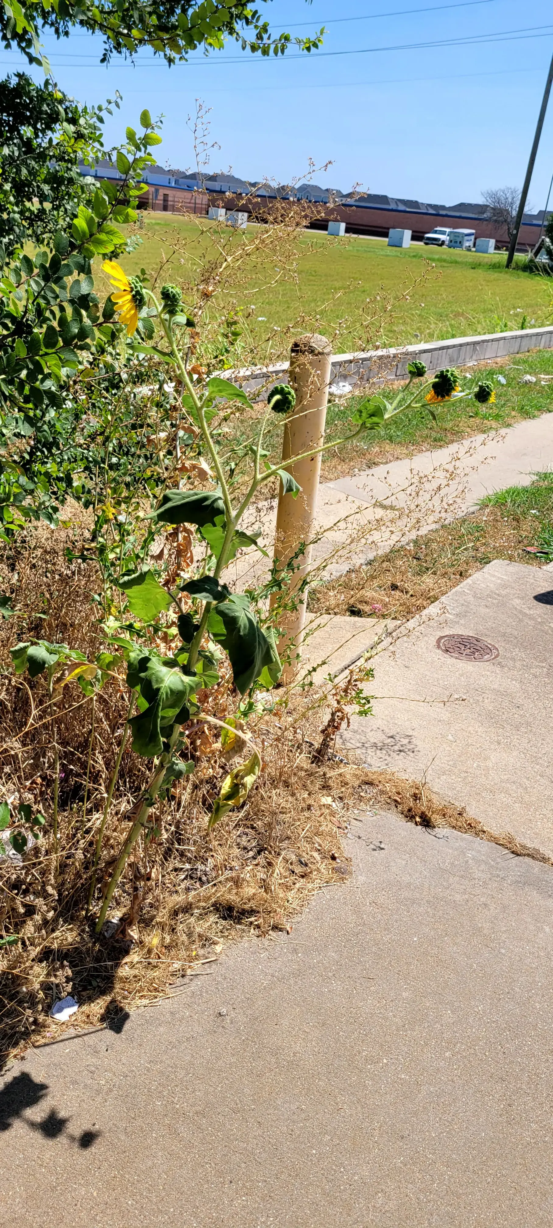 Wash-It-Kwik Super Laundry Center thumbnail 17