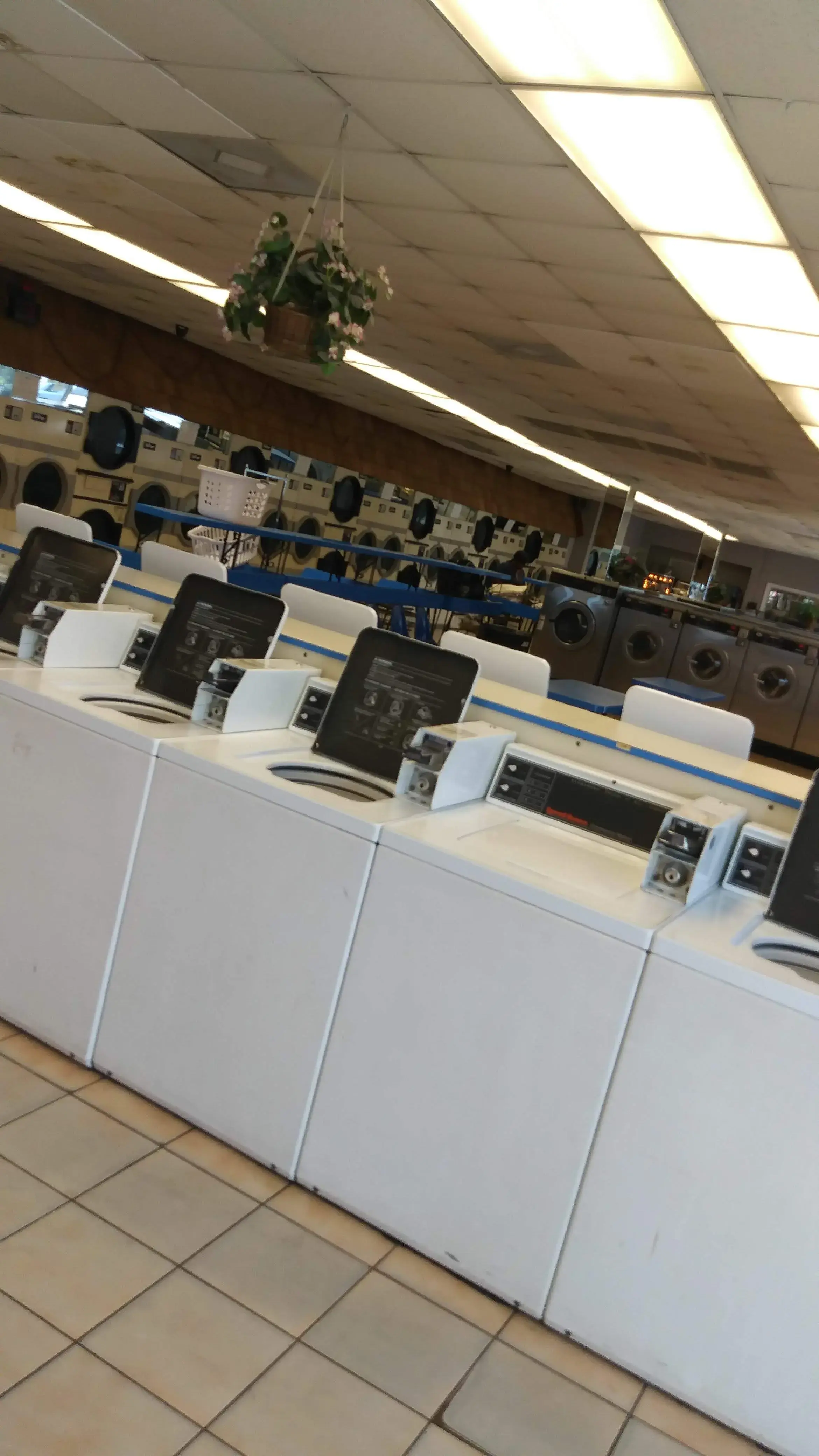 Wash It Laundromat thumbnail 12