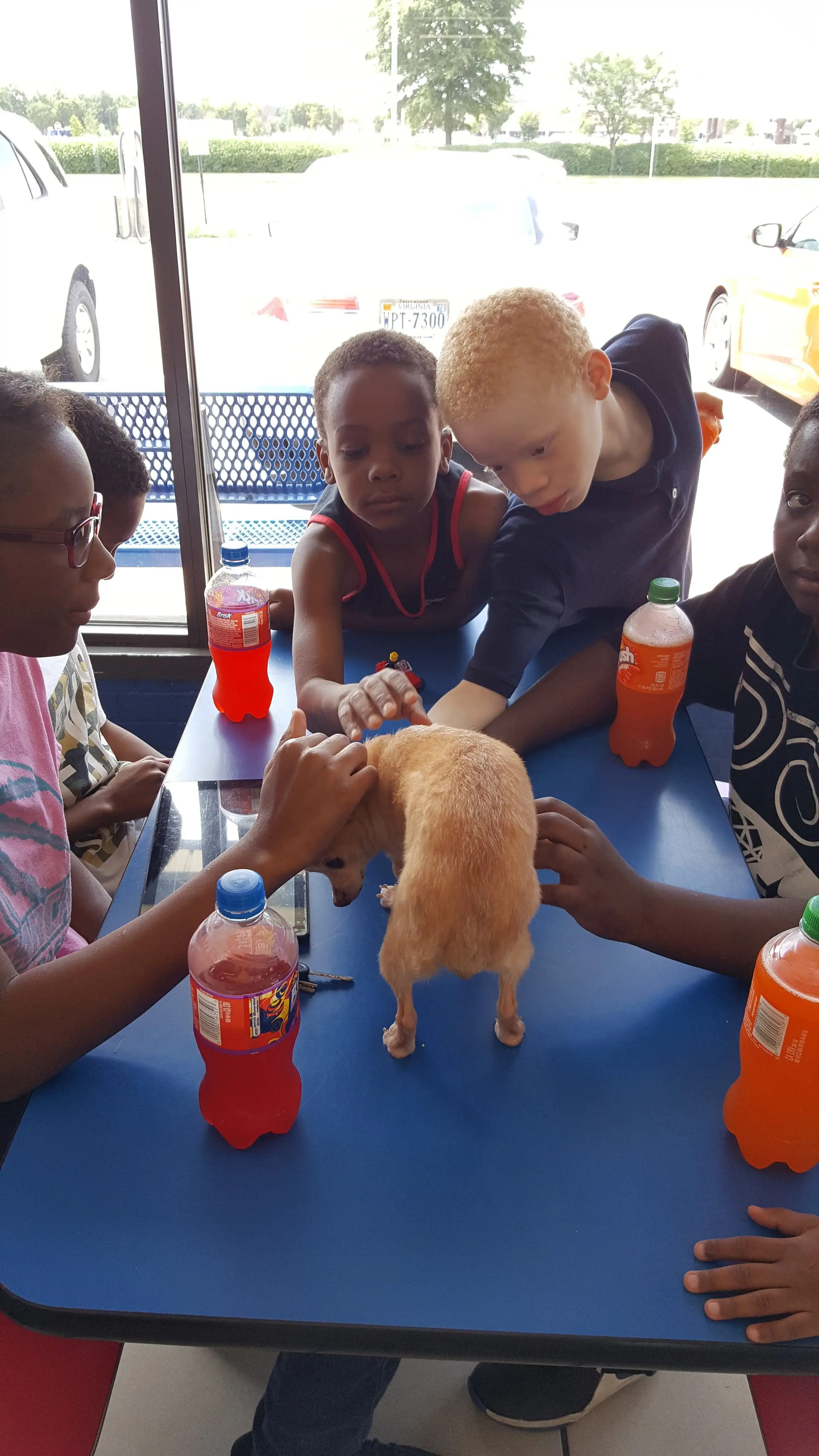 Wash Land - Holland - Image 10