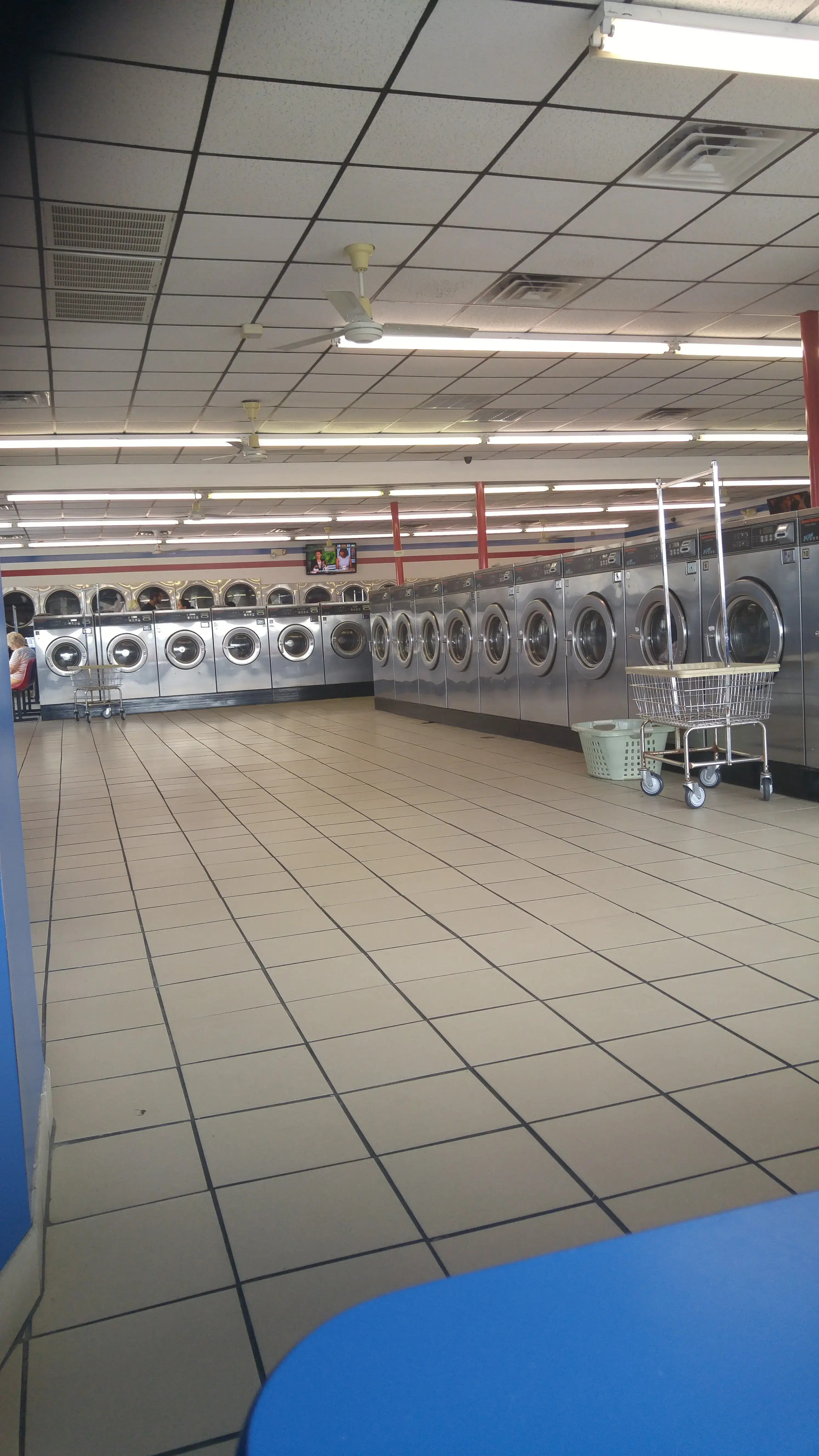 Wash Land - Holland - Image 17