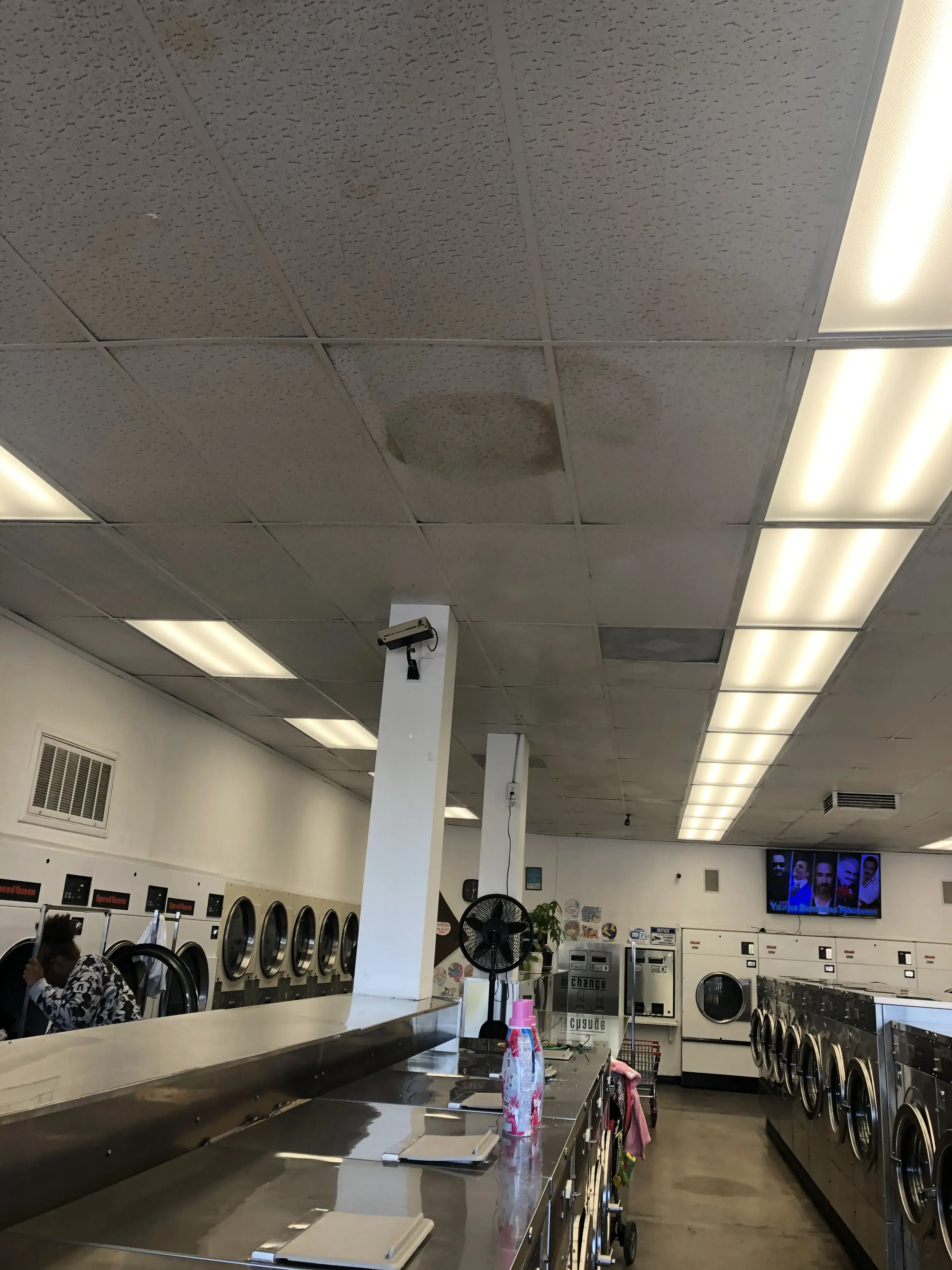 Wash Me LA-Lavanderia - Image 11