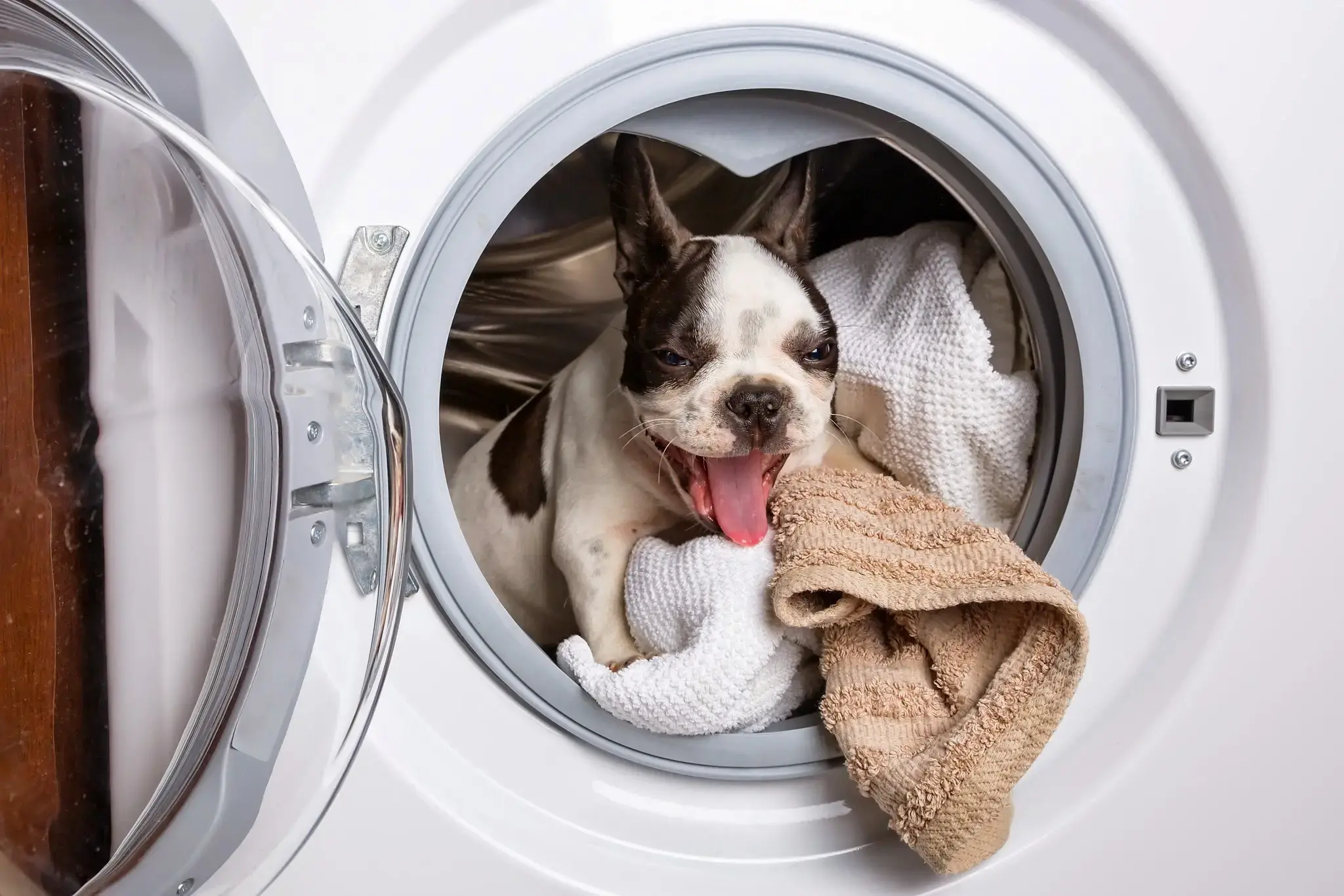 Wash N Go Laundry thumbnail 13