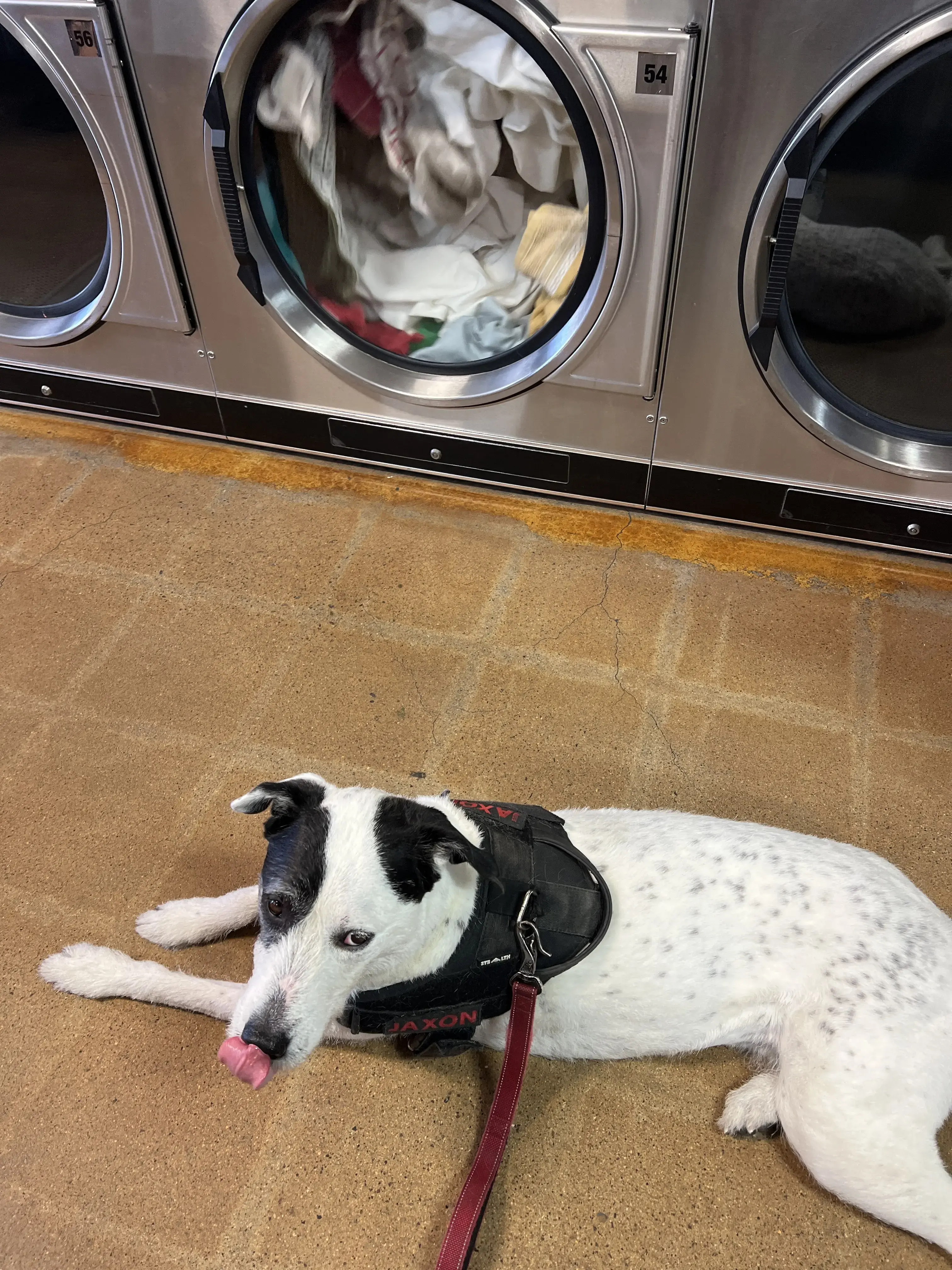 Wash N Go Laundry thumbnail 15