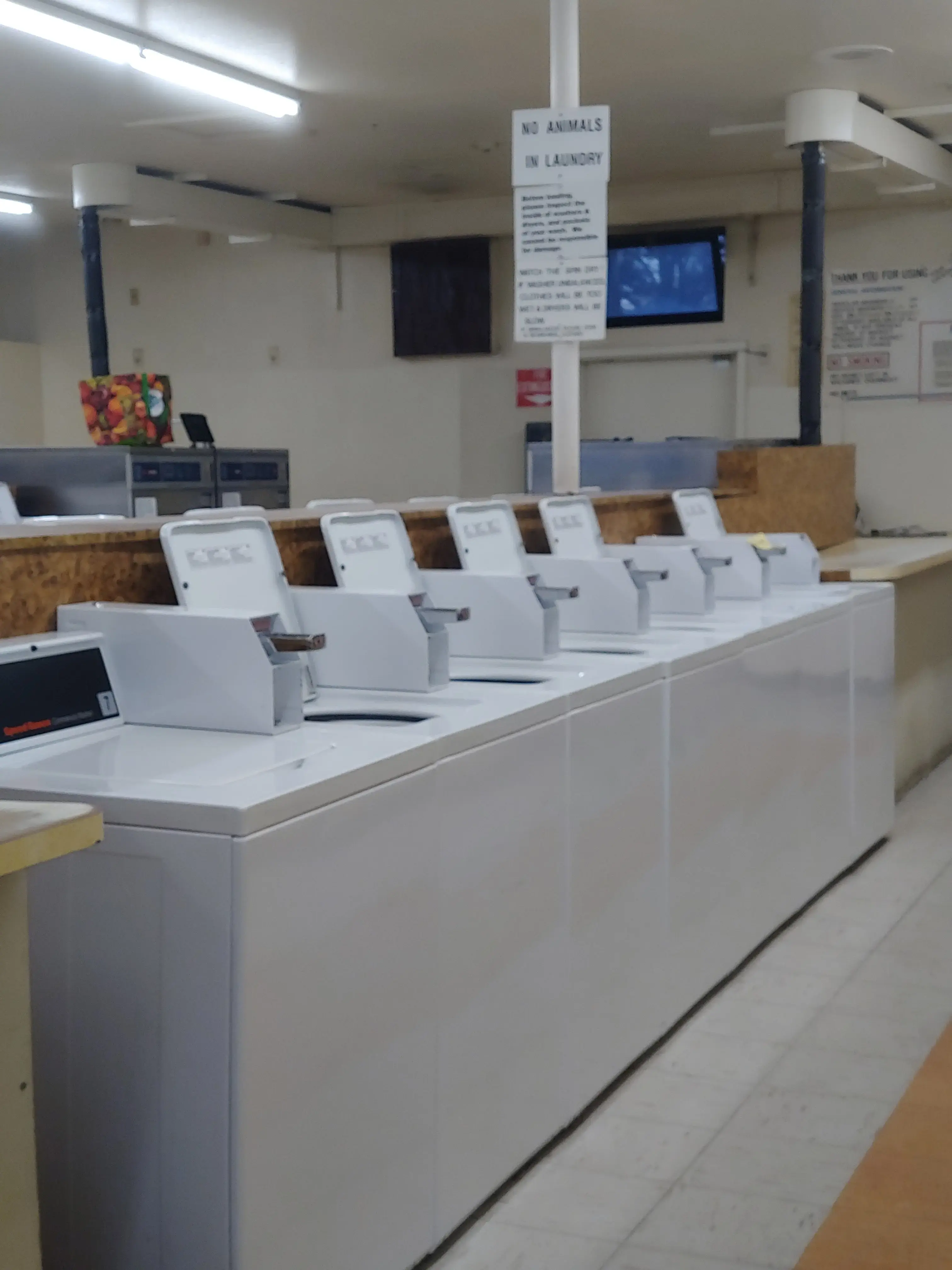 Wash n Shop Coin Laundry thumbnail 2