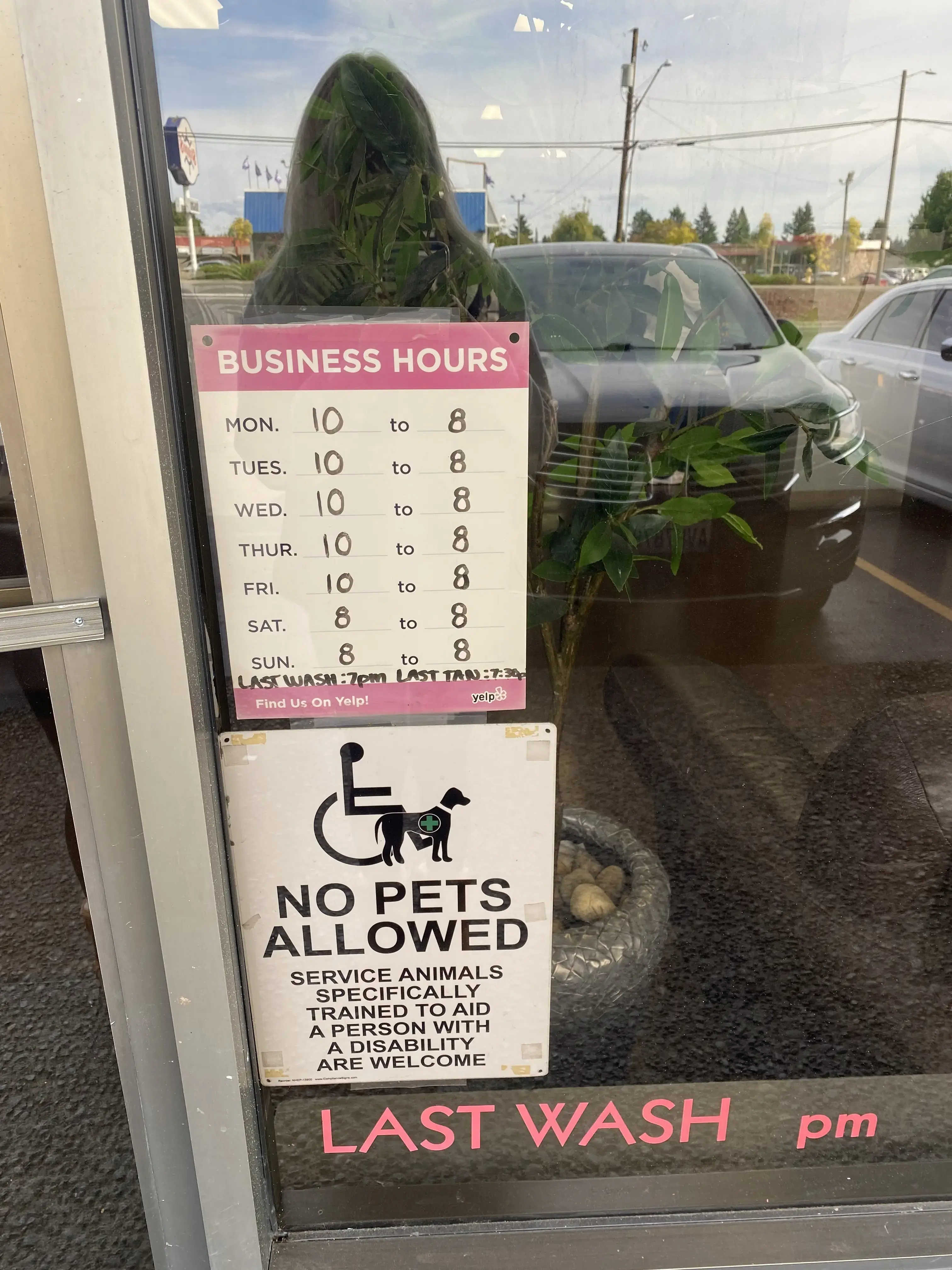 Wash-n-Tan - Image 15