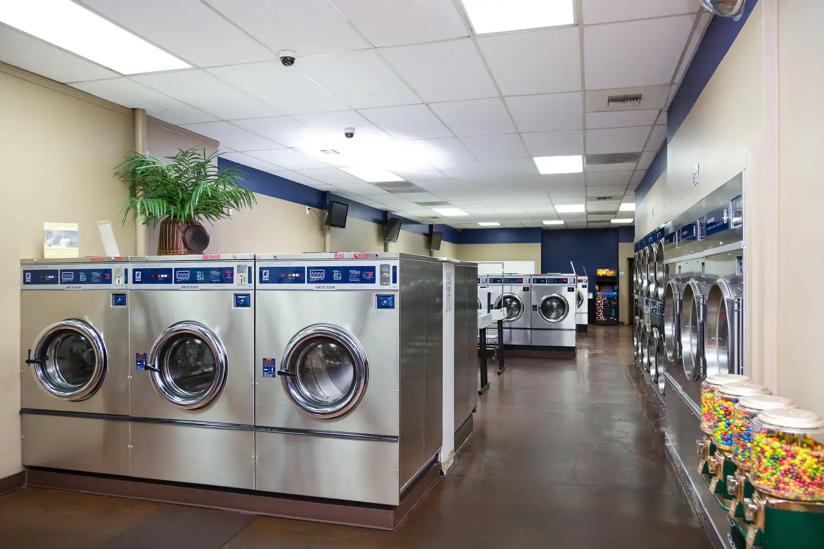 Wash-n-Tan location