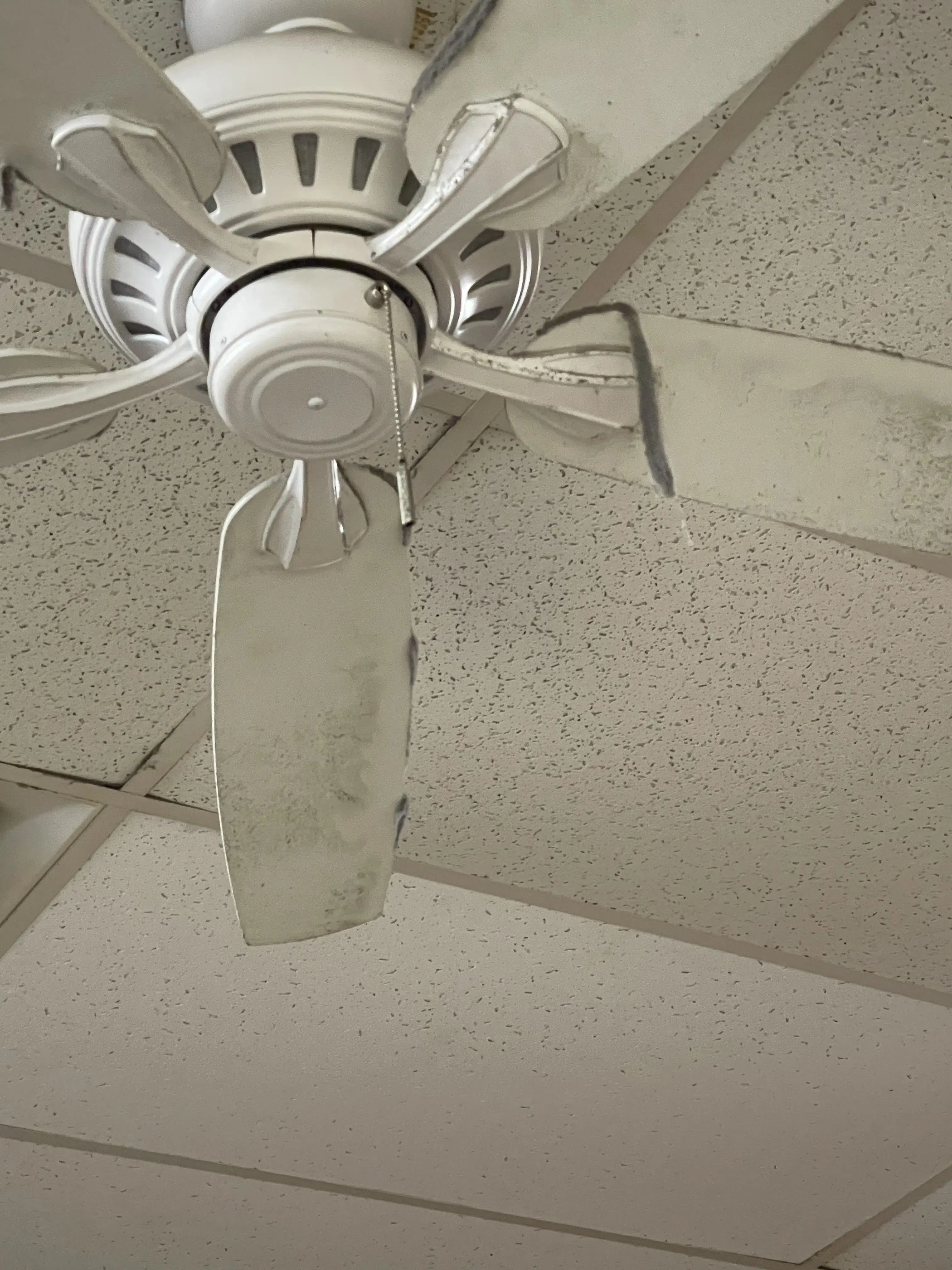 Wash N Tumble, LLC - Image 19