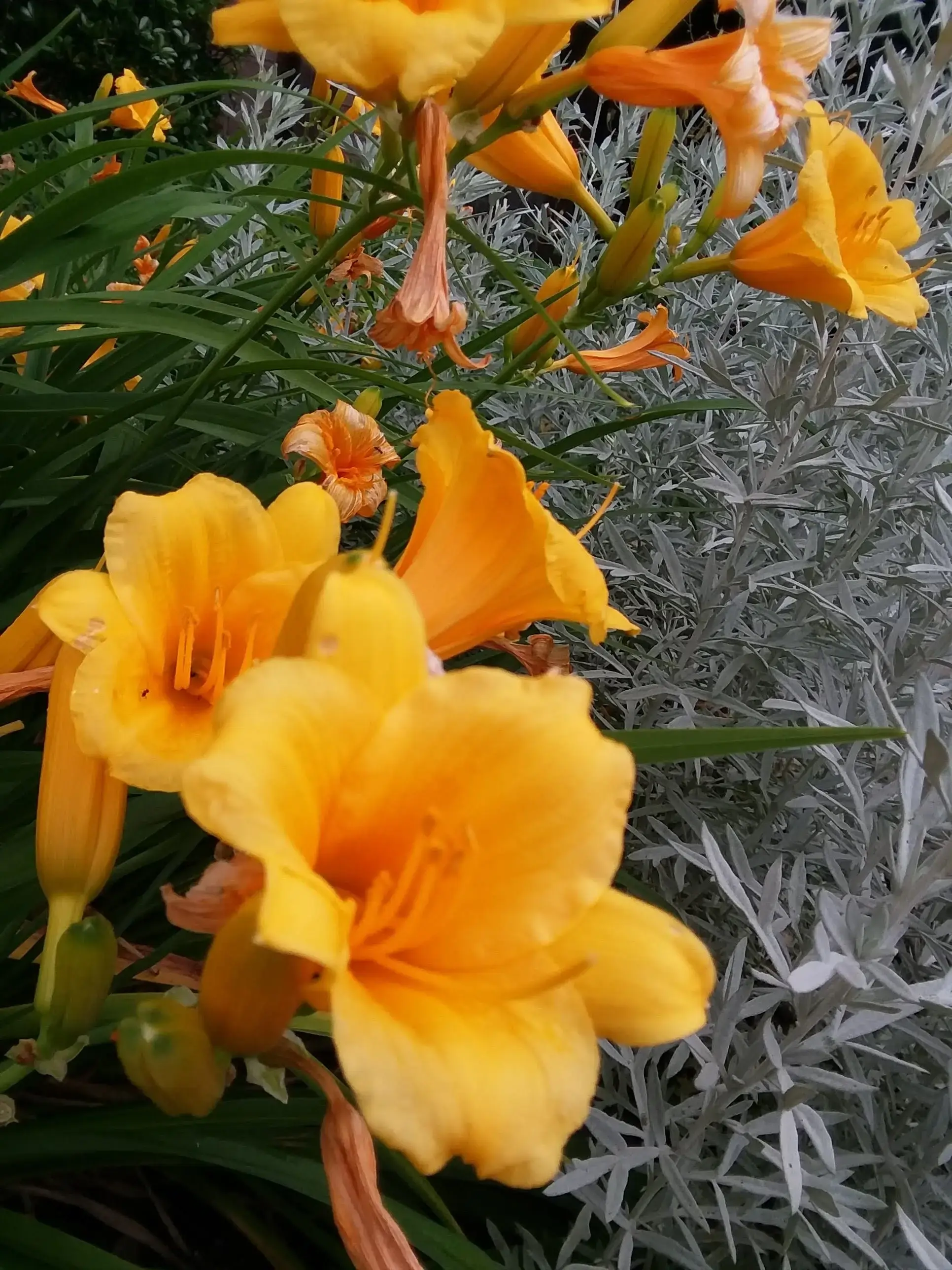 Wash N Well - Image 11