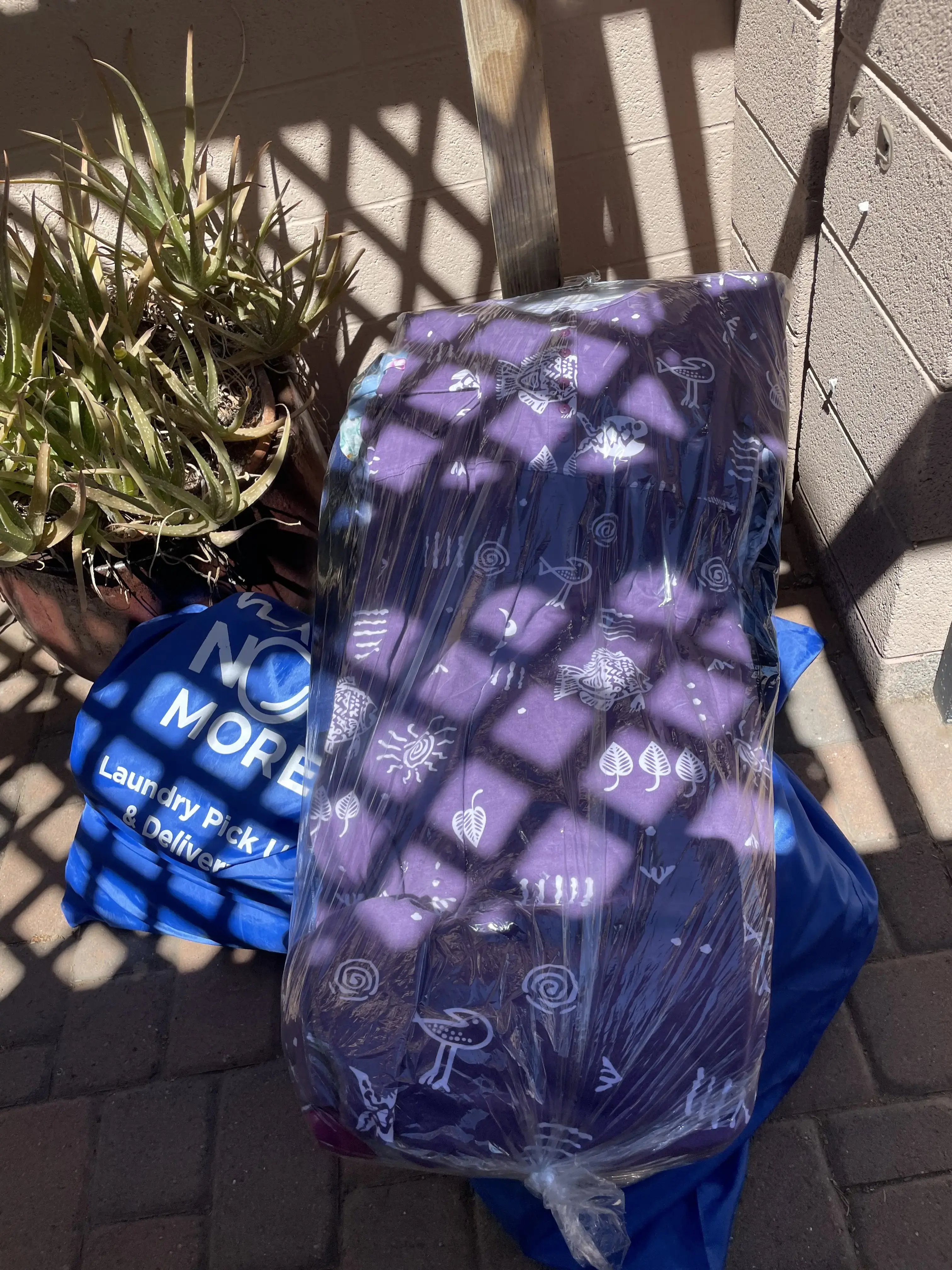 Wash No More - Image 12