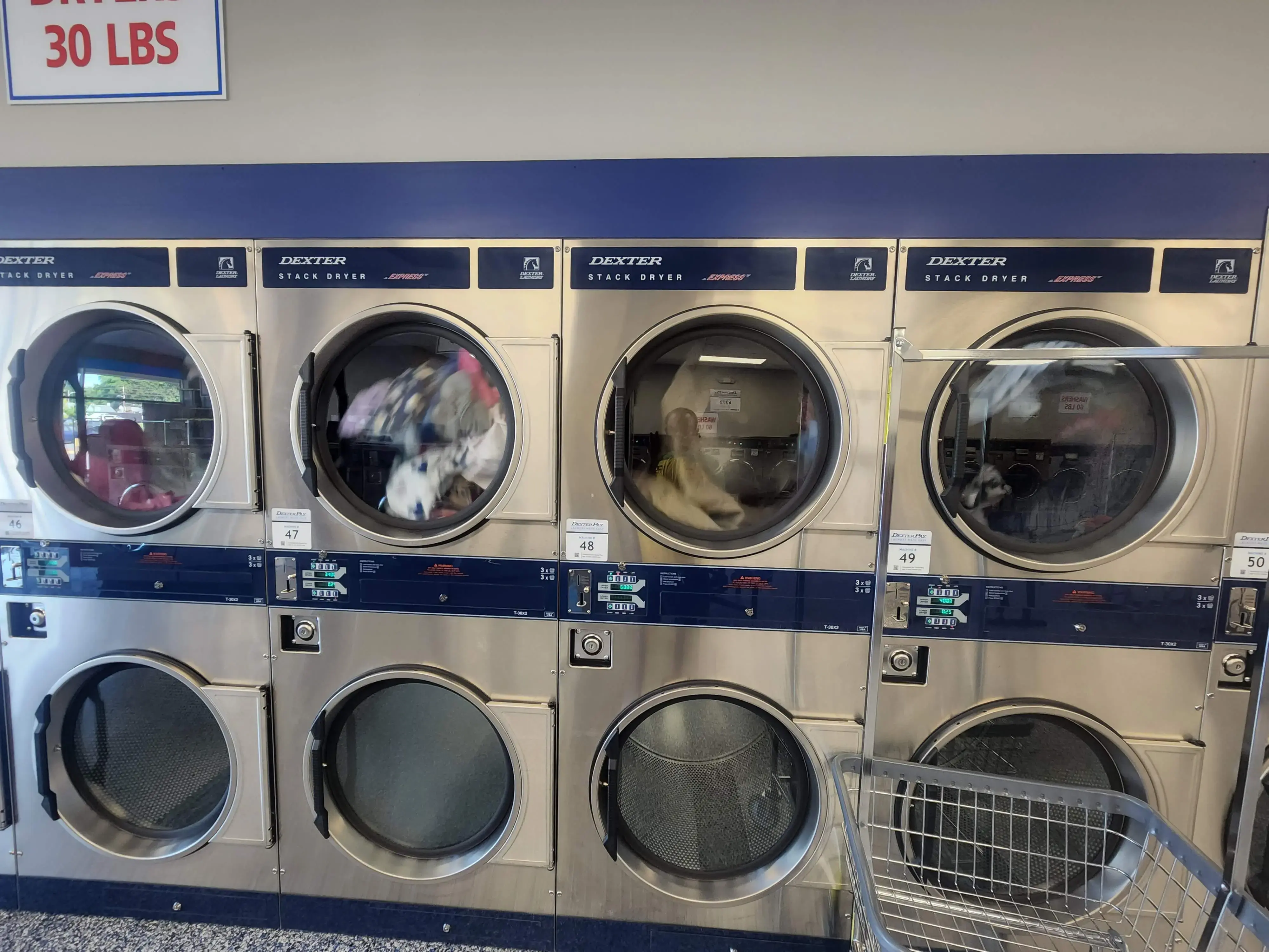 Wash & Play Café Essex - Image 5