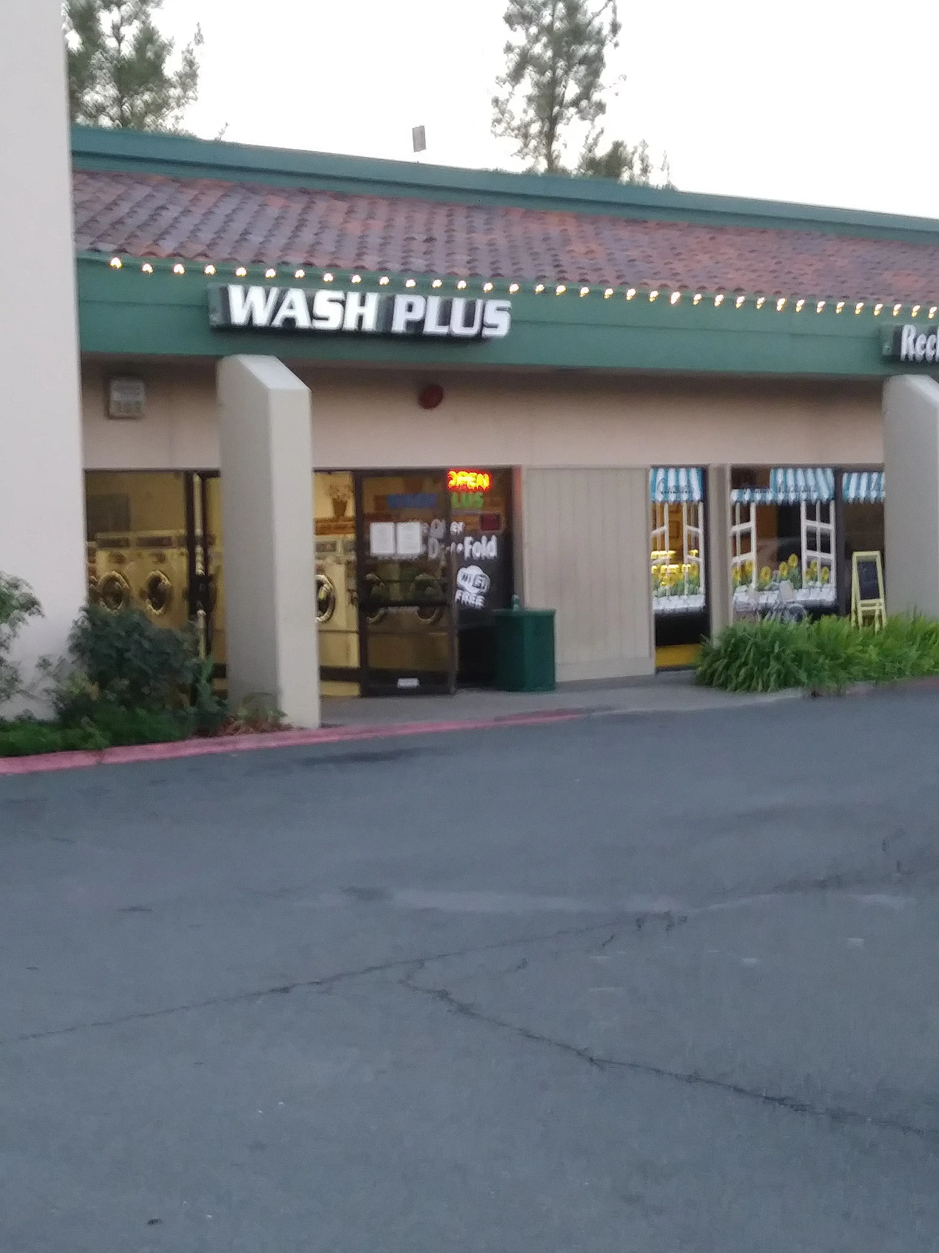 Wash Plus - Image 11