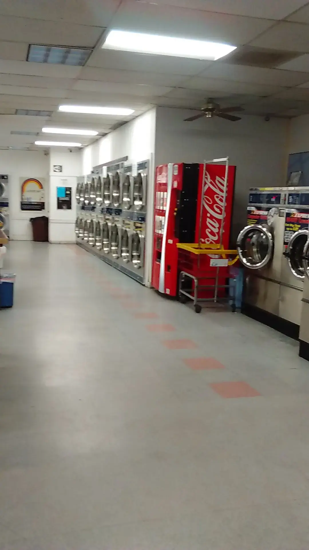 Wash Plus - Image 19