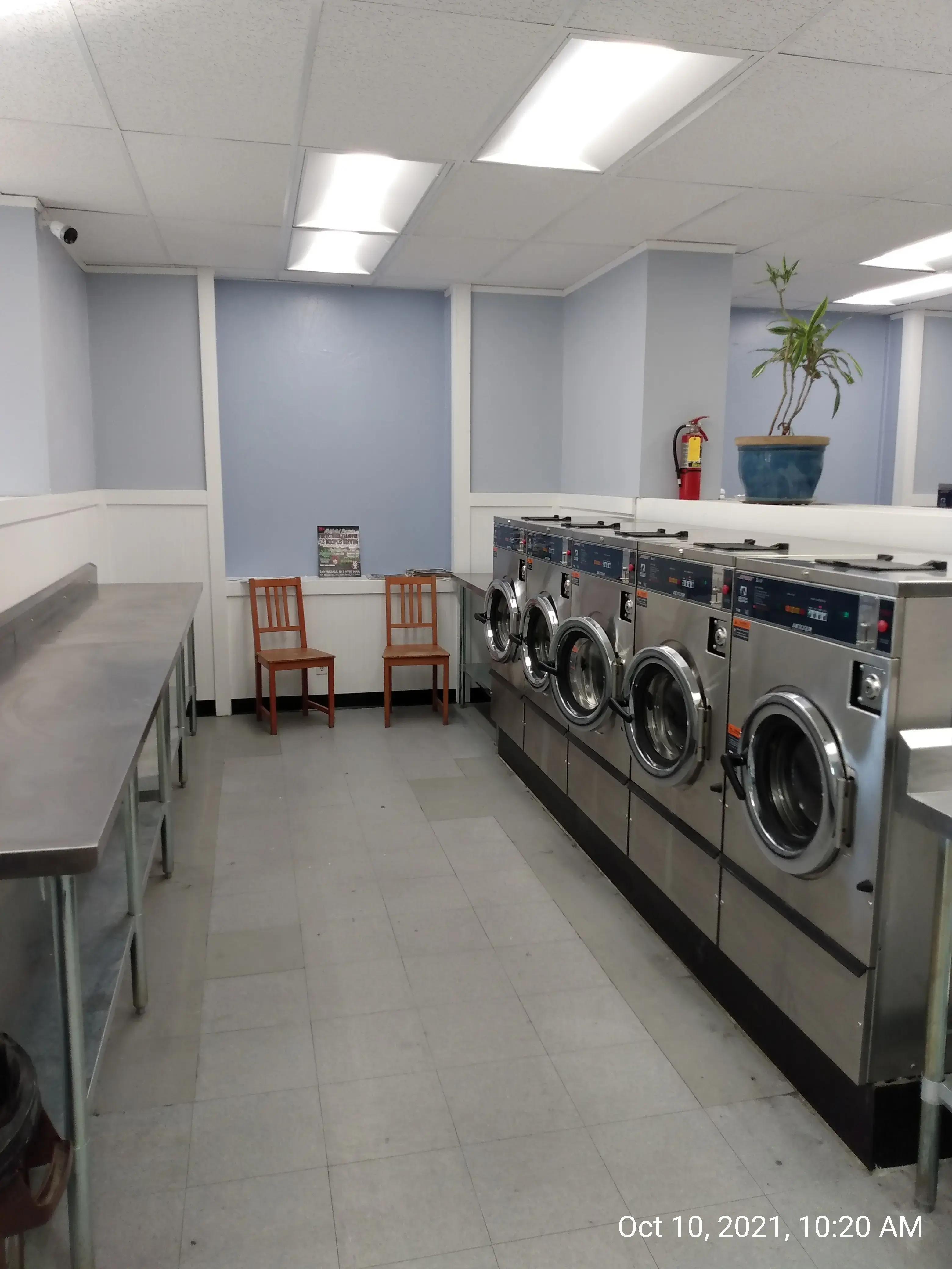 Wash Plus - Image 14