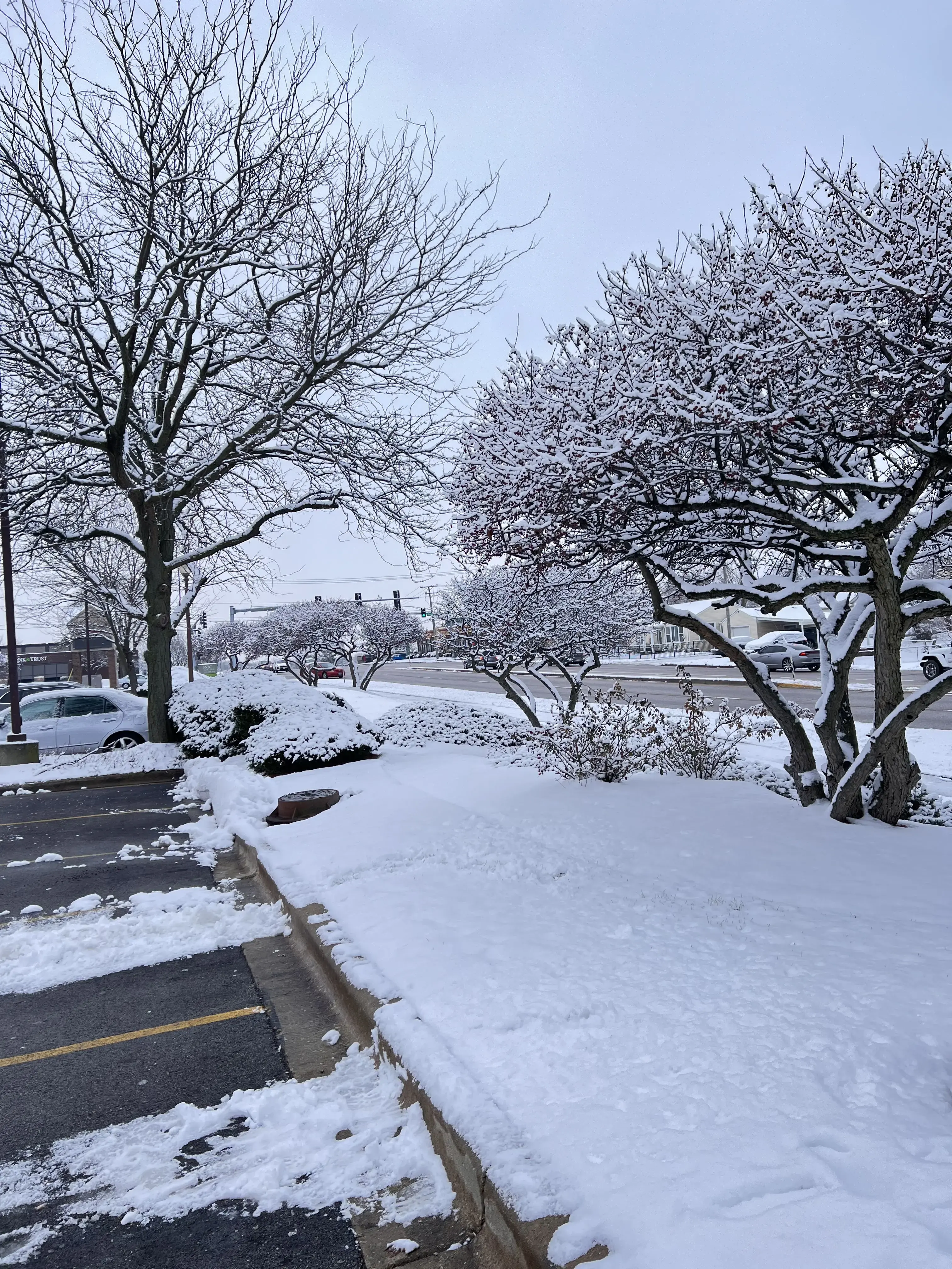 Wash Smart Lavanderia thumbnail 15