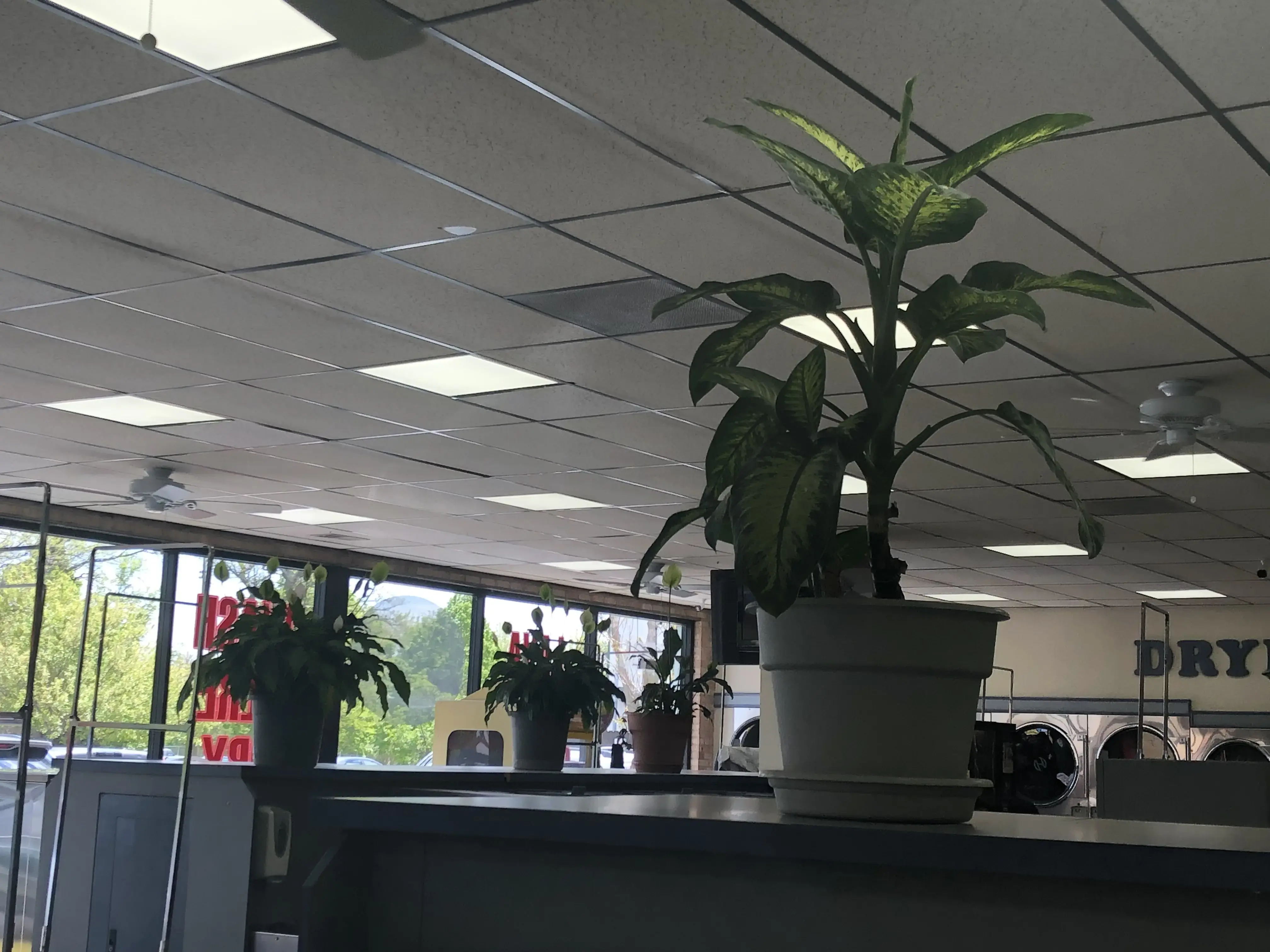 Wash Smart Lavanderia - Image 7