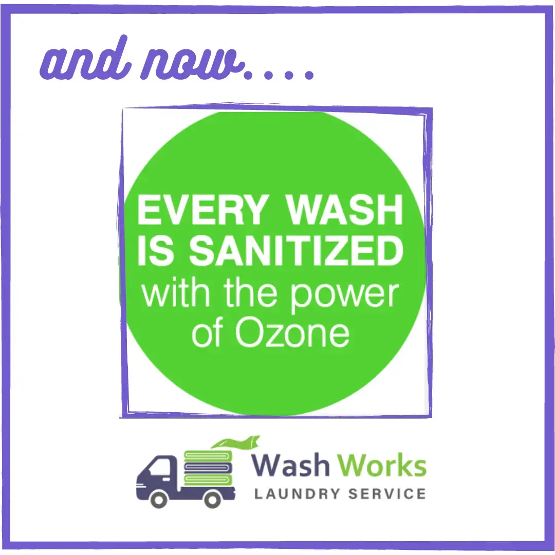 Wash Works thumbnail 15