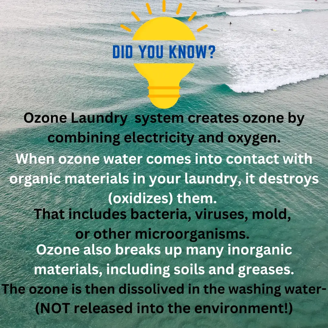 Wash Works thumbnail 18