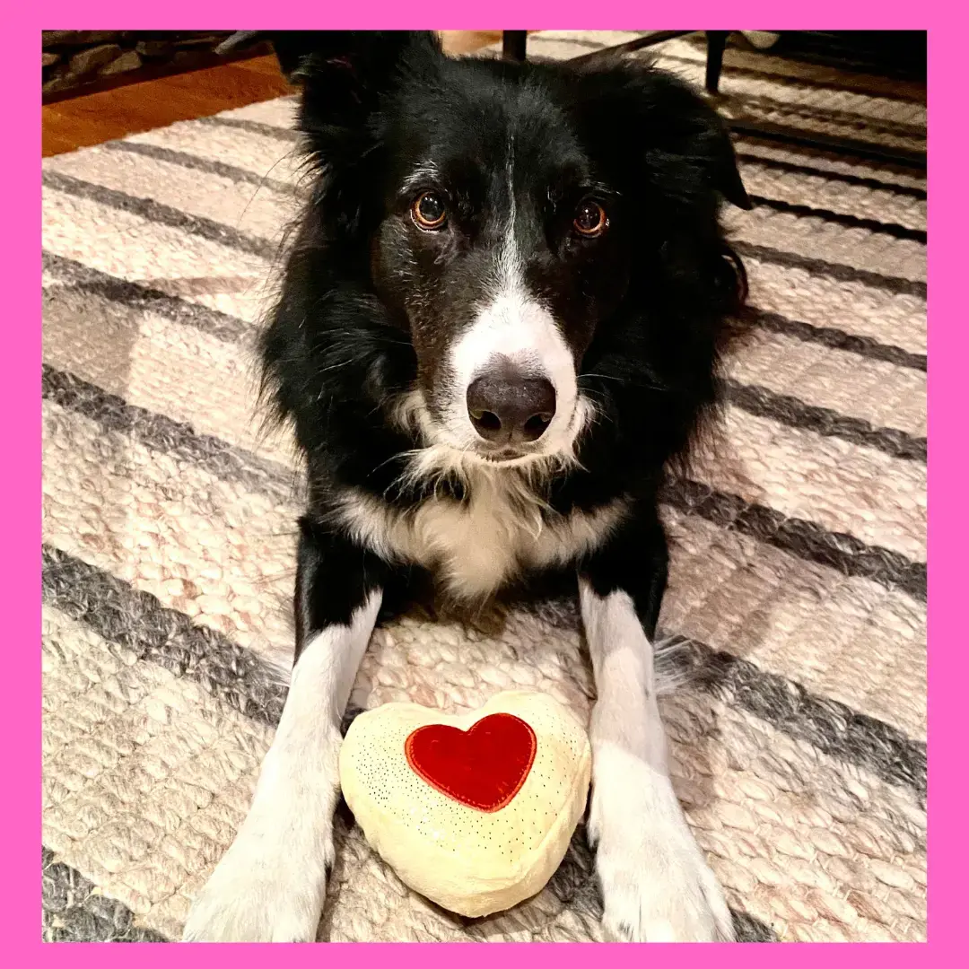 Wash Works thumbnail 9