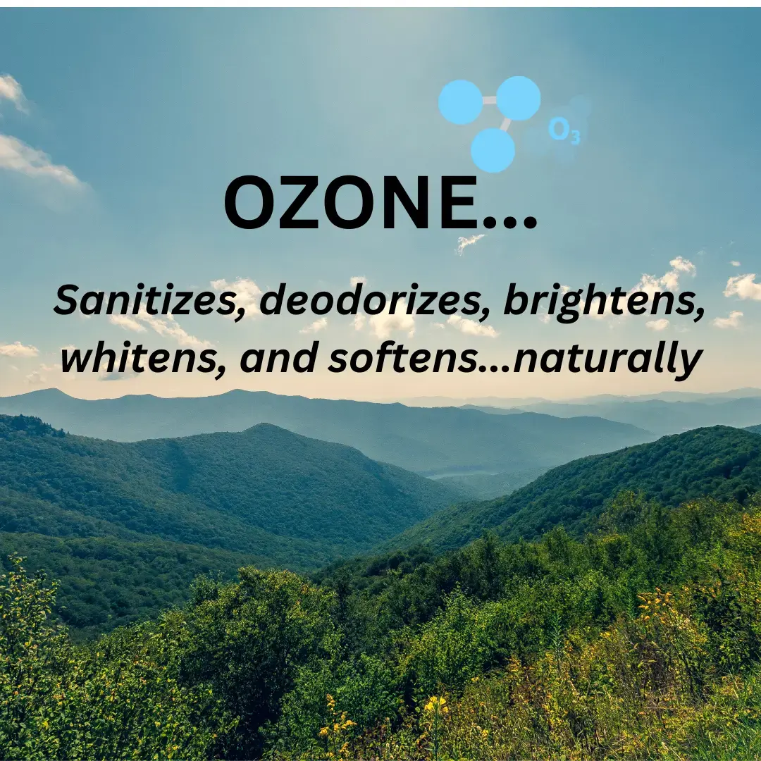 Wash Works thumbnail 12