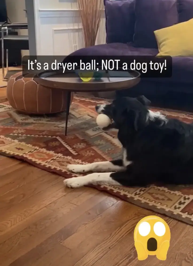 Wash Works thumbnail 11